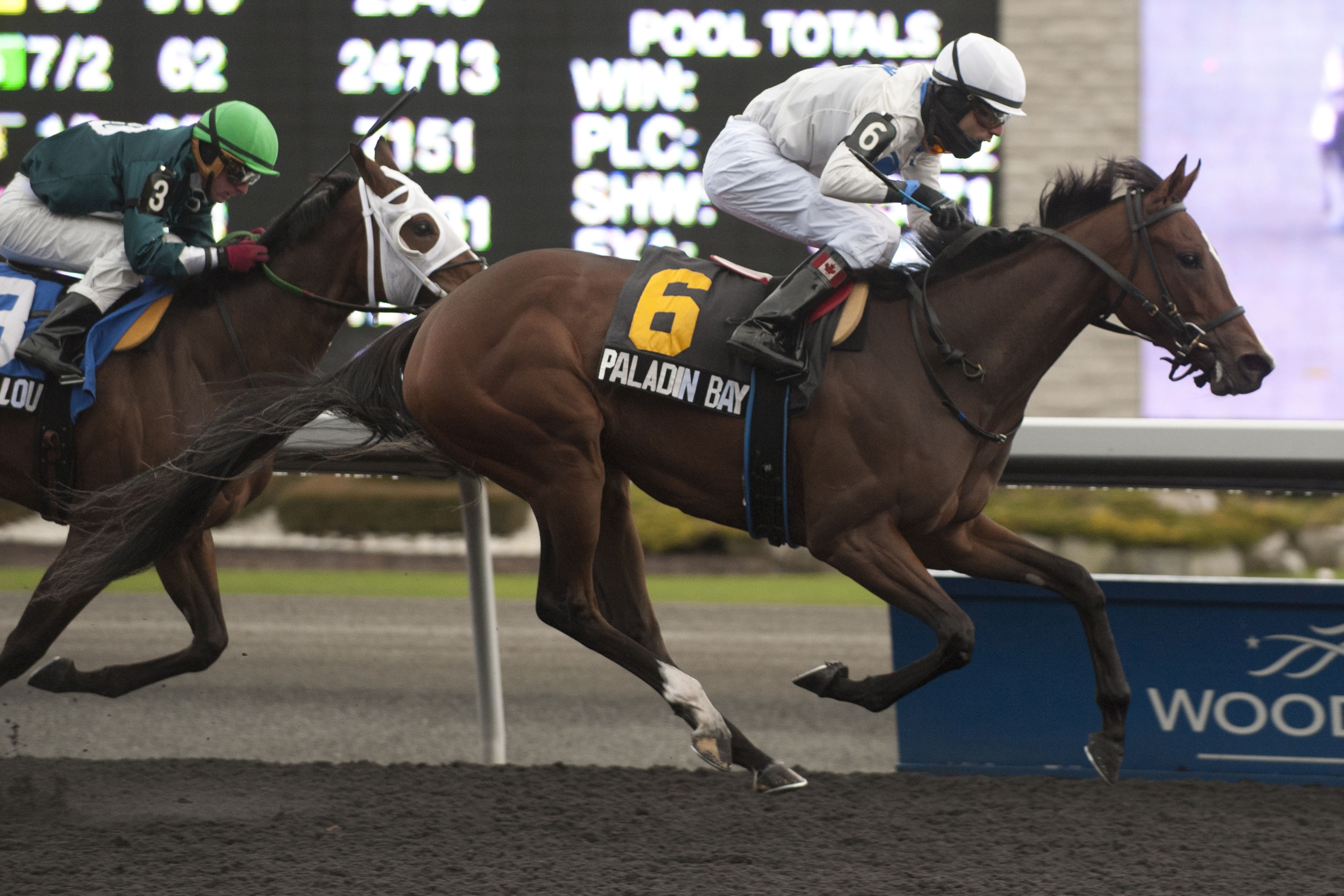 Paladin Bay wins the Princess Elizabeth Stakes