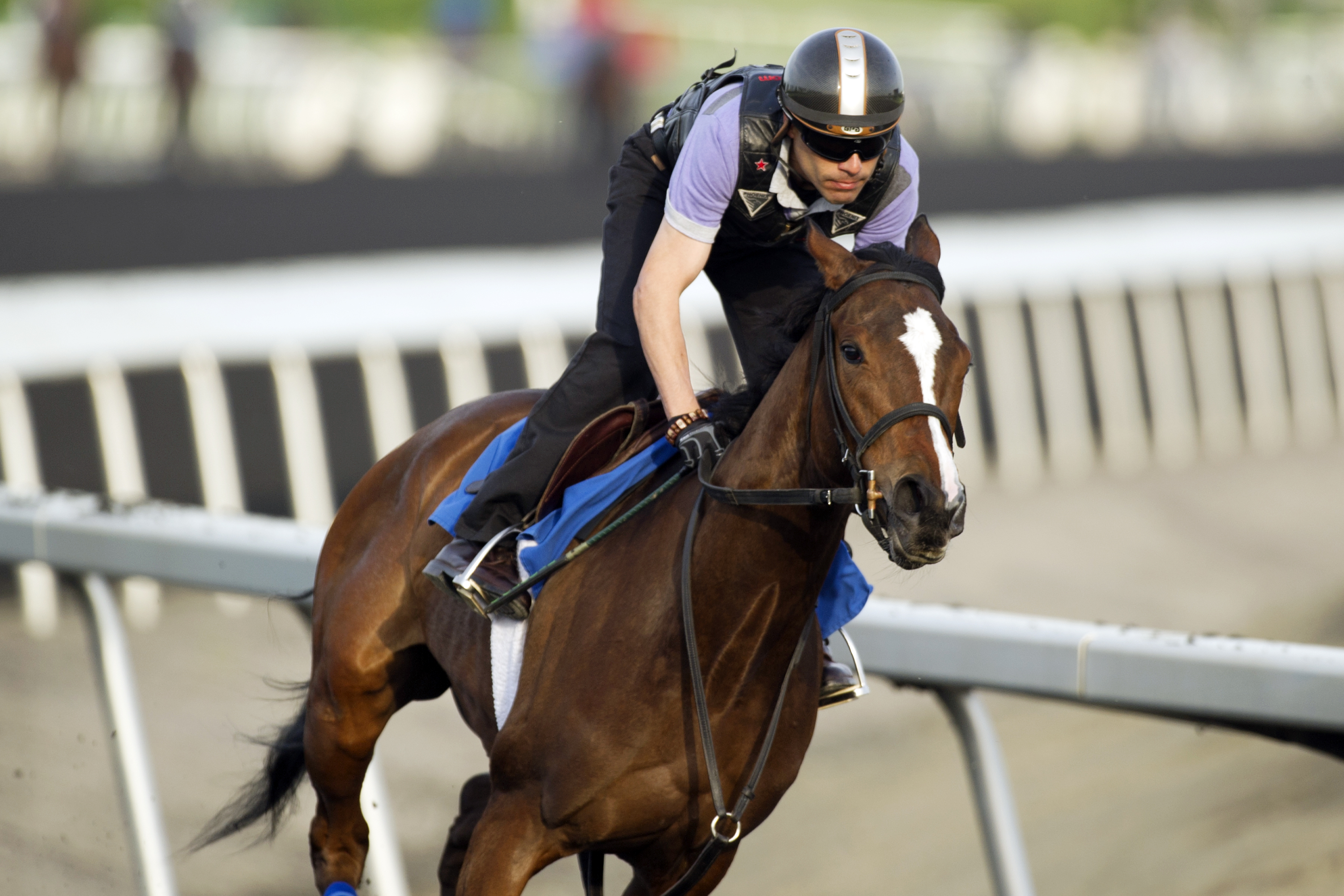 Paladin Bay trains at Woodbine on June 11