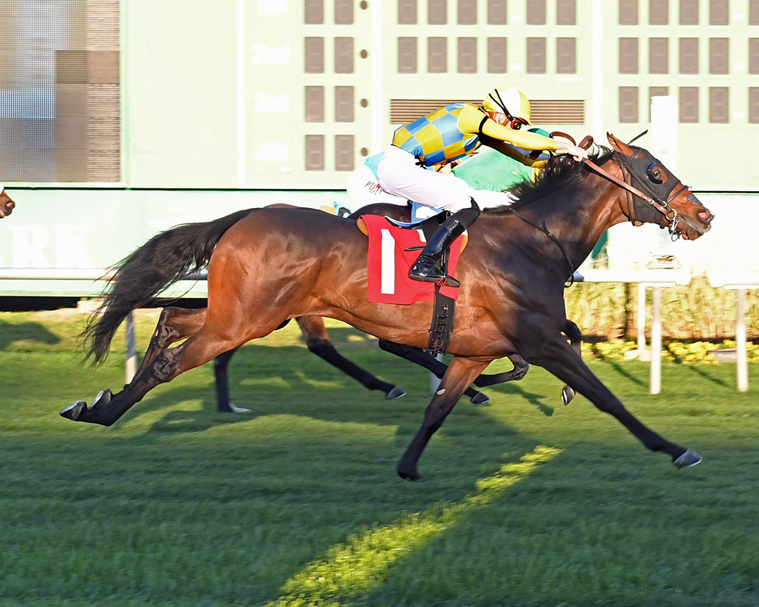 Palazzi wins the Texas Turf Mile at Sam Houston Race Park