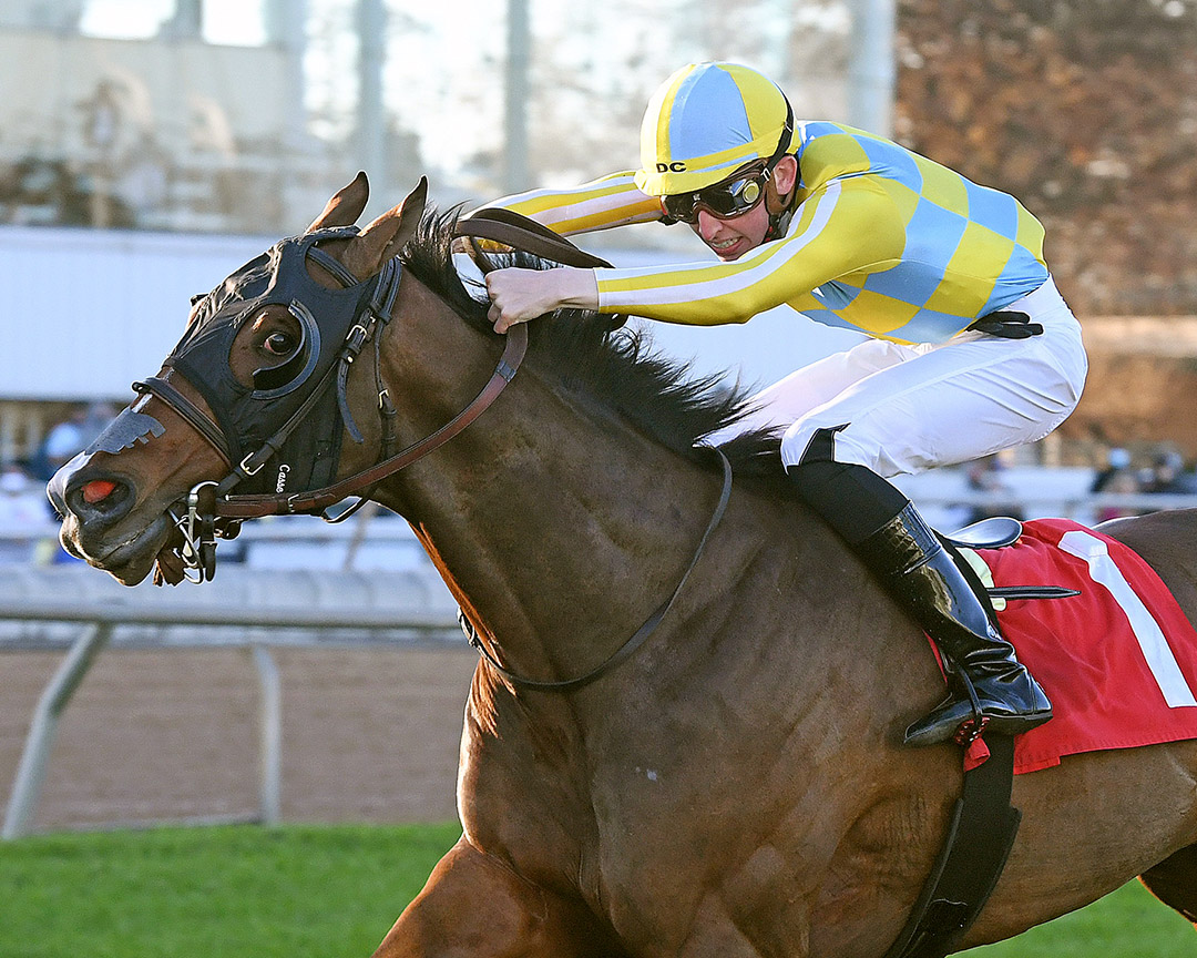 Palazzi wins the 2021 Texas Turf Mile at Sam Houston Race Park
