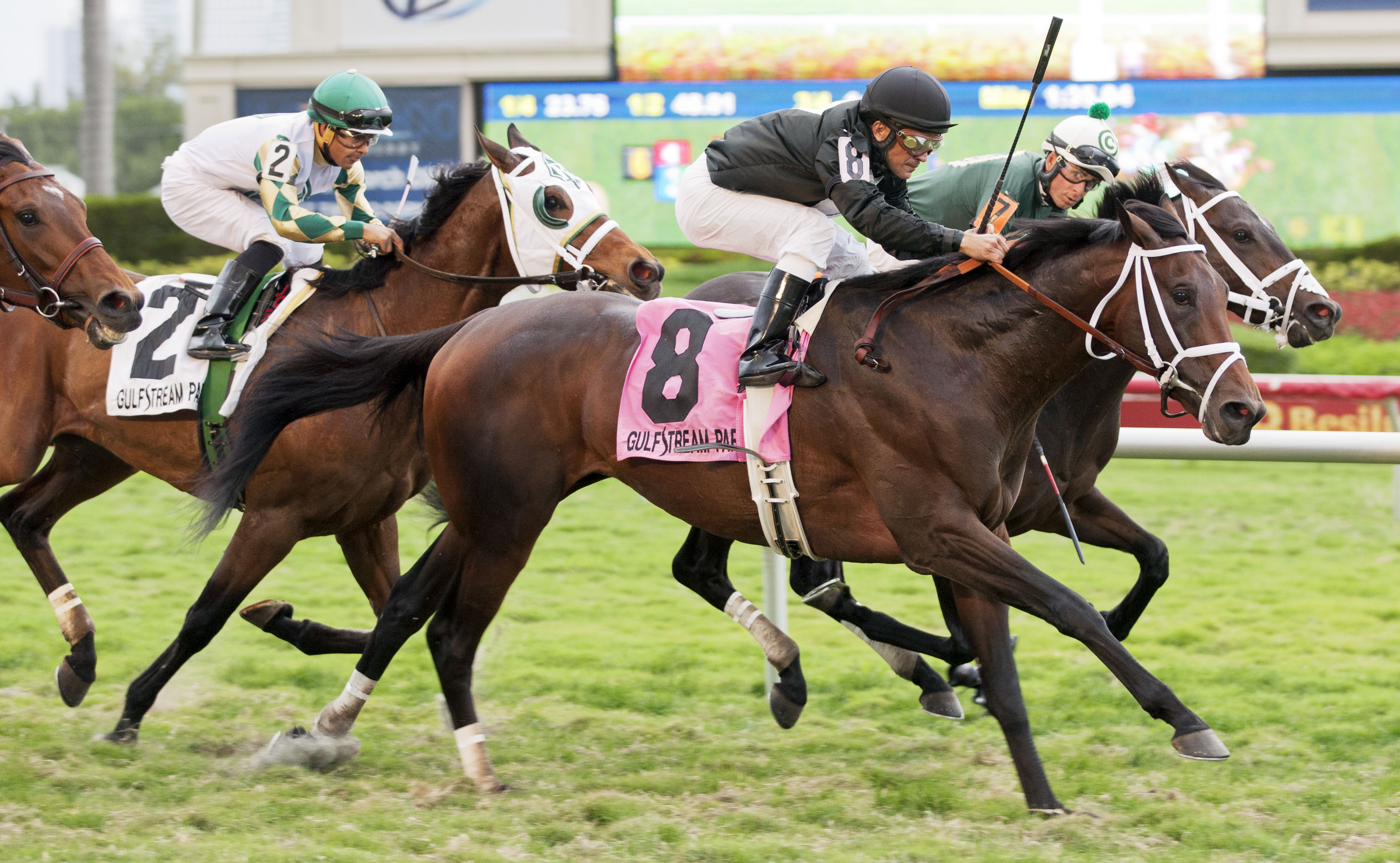 Eh Cumpari wins 2015 Palm Beach