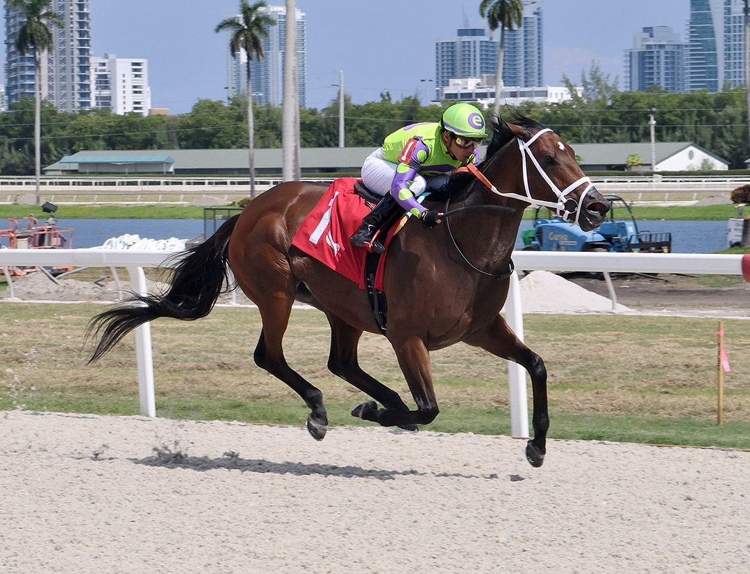 Palomita wins an Oct. 17 allowance at Gulfstream Park