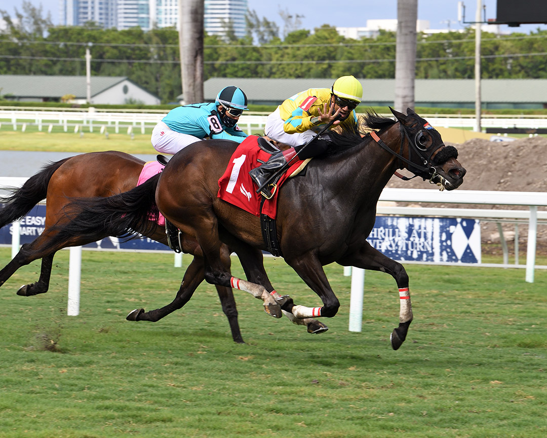 Edwin Gonzalez gets his fifth win on the May 13 Gulfstream card aboard Panarea