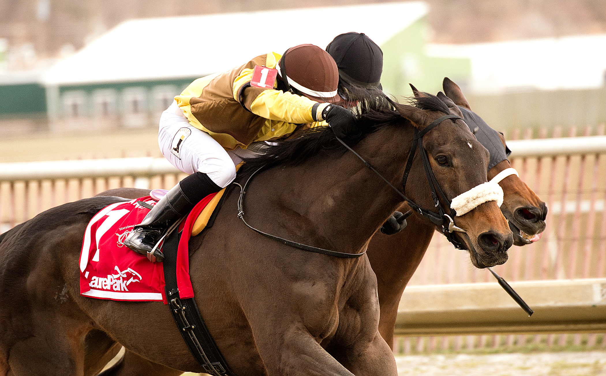 Pangburn wins the Maryland Racing Media Stakes