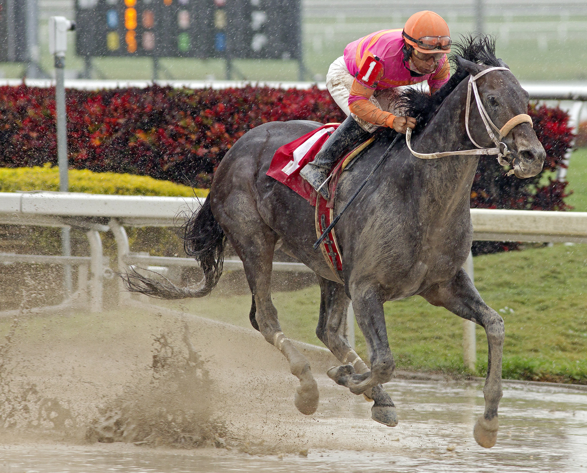 Pants On Fire, allowance race