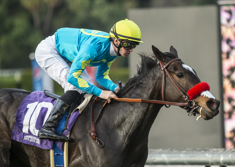 Pantsonfire wins 2019 Astra Stakes