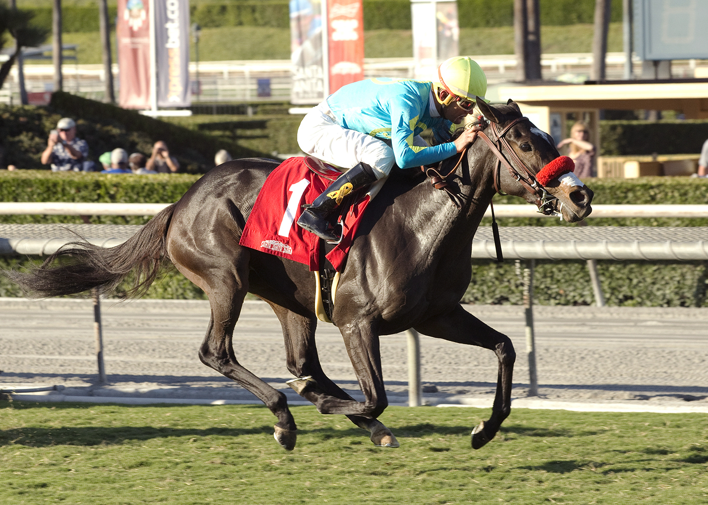 Pantsonfire wins an Oct. 15 maiden race