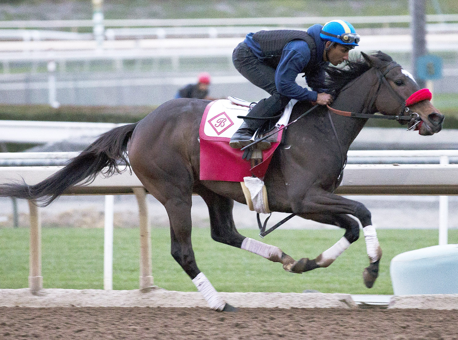 Pantsonfire trains at Santa Anita on Feb. 14