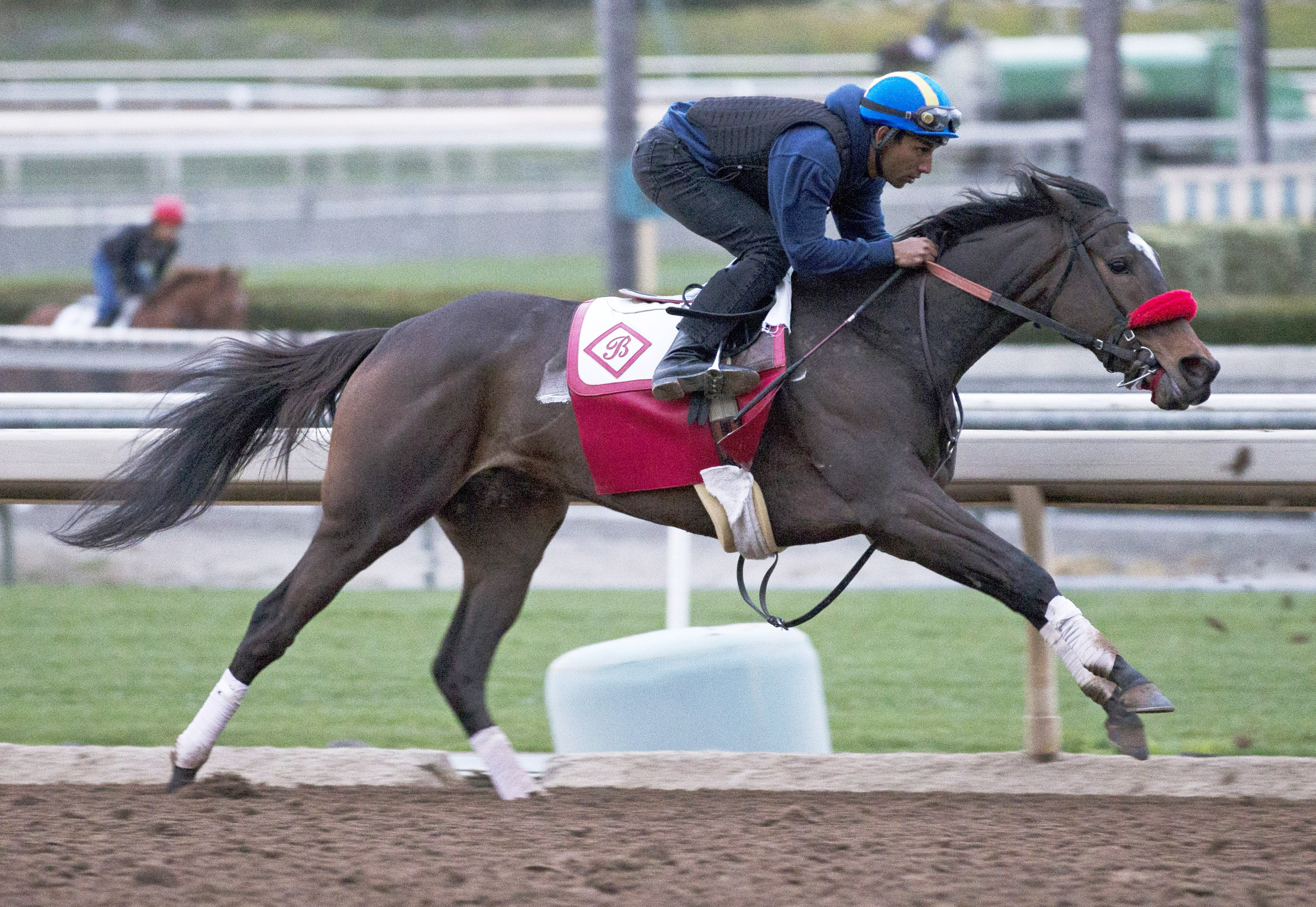 Pantsonfire trains at Santa Anita on Feb. 14