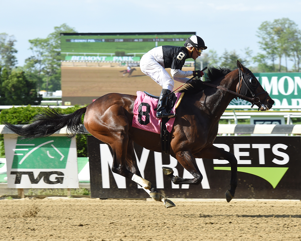 Papa Shot wins a May 6, 2017 allowance