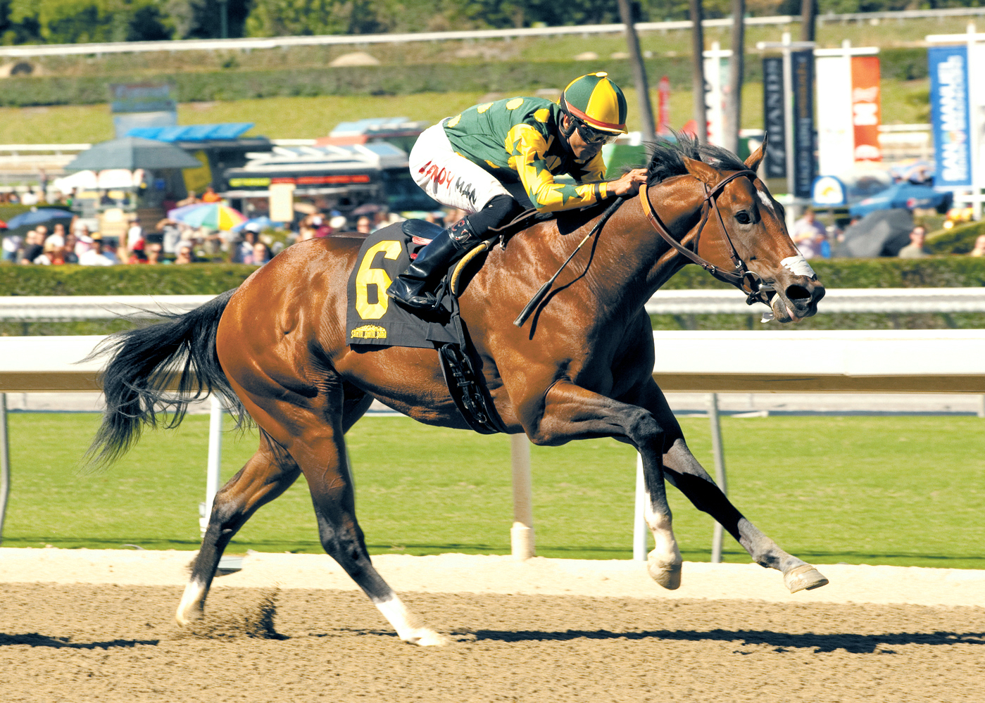 Papa Turf wins a maiden race
