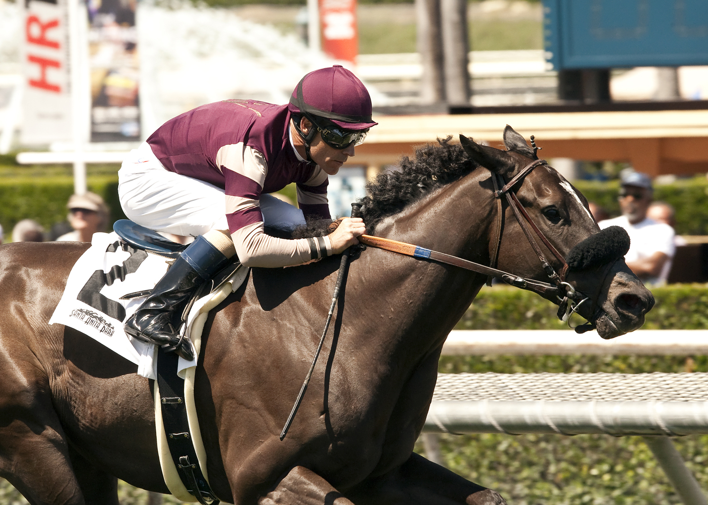 Papacoolpapacool wins 2015 La Puente