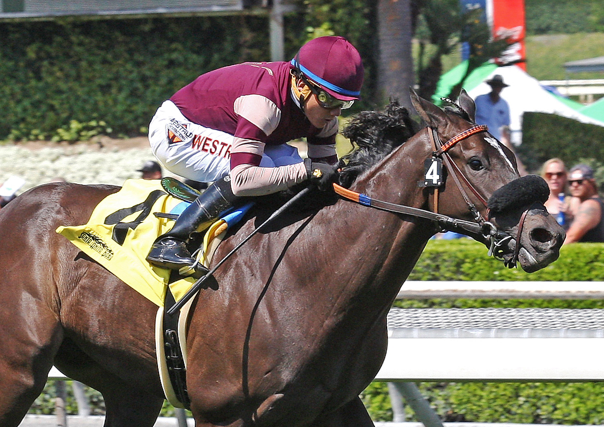 Papacoolpapacool wins the La Puente