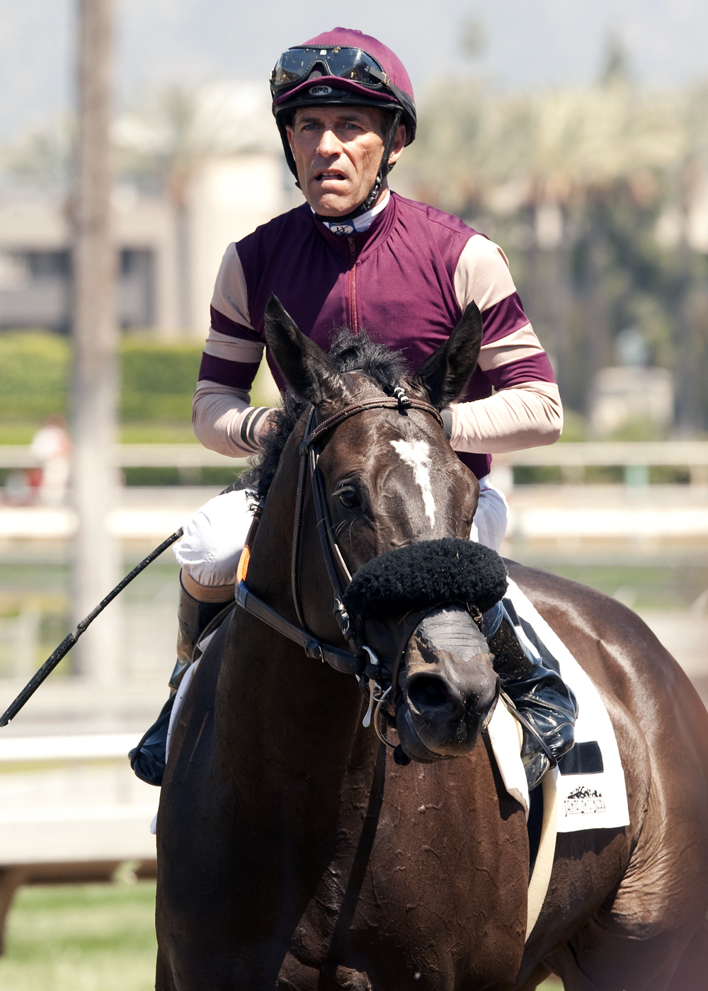 Papacoolpapacool and Gary Stevens win the La Puente Stakes