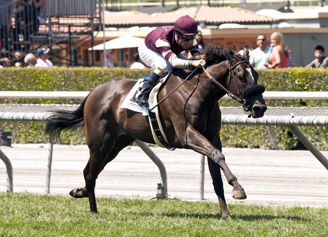 Papacoolpapacool wins the La Puente Stakes