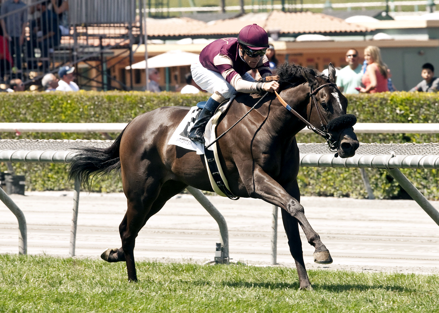 Papacoolpapacool wins the La Puente Stakes