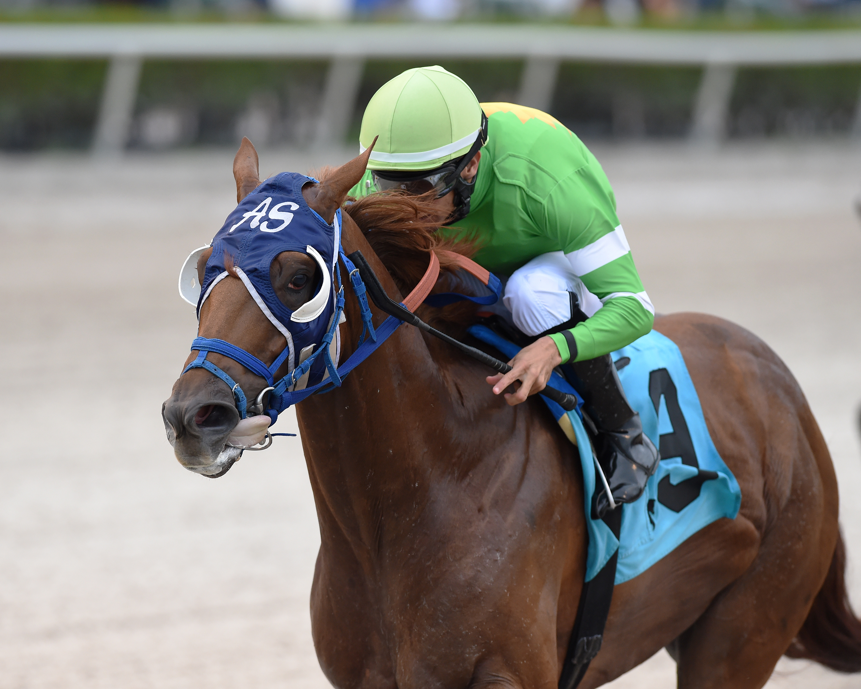 Papetu wins the Carry Back 7-10-2021