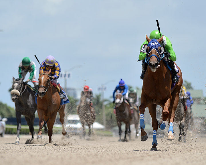 Papetu wins a June 20 maiden race at Gulfstream Park