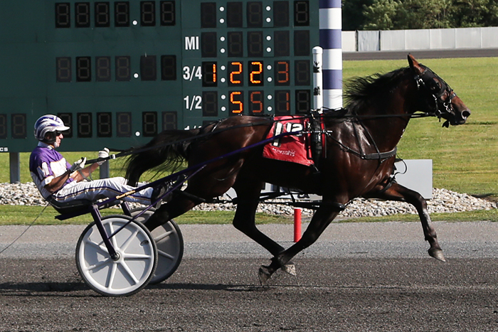 Papi Rob Hanover