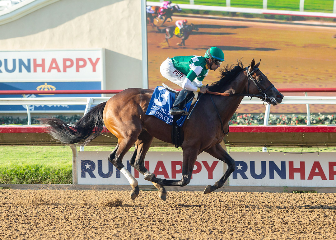 Pappacap wins the 2021 Best Pal Stakes at Del Mar Thoroughbred Club