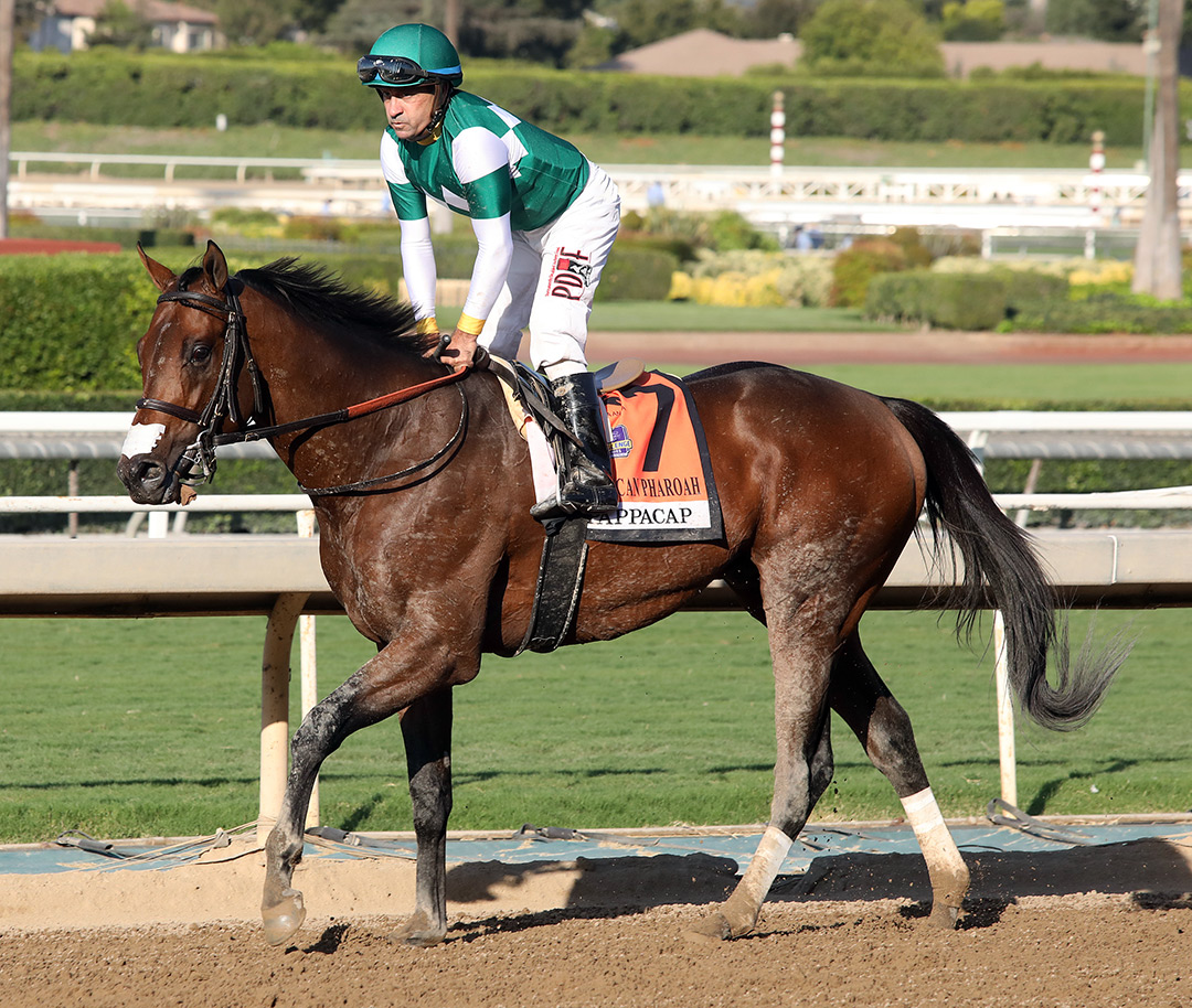 Pappacap at the American Pharoah Stakes at Santa Anita Park