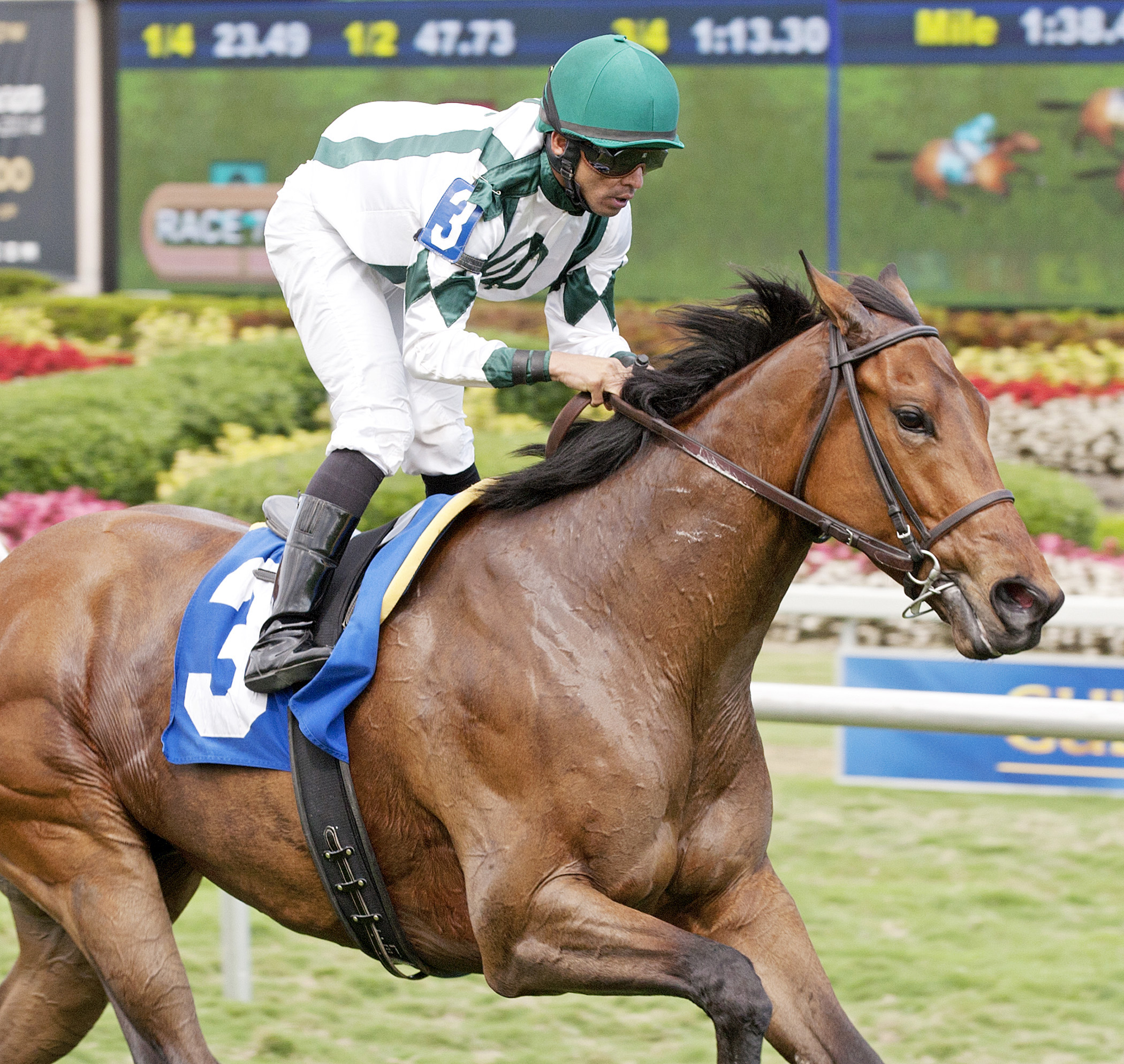 Papy wins a maiden race