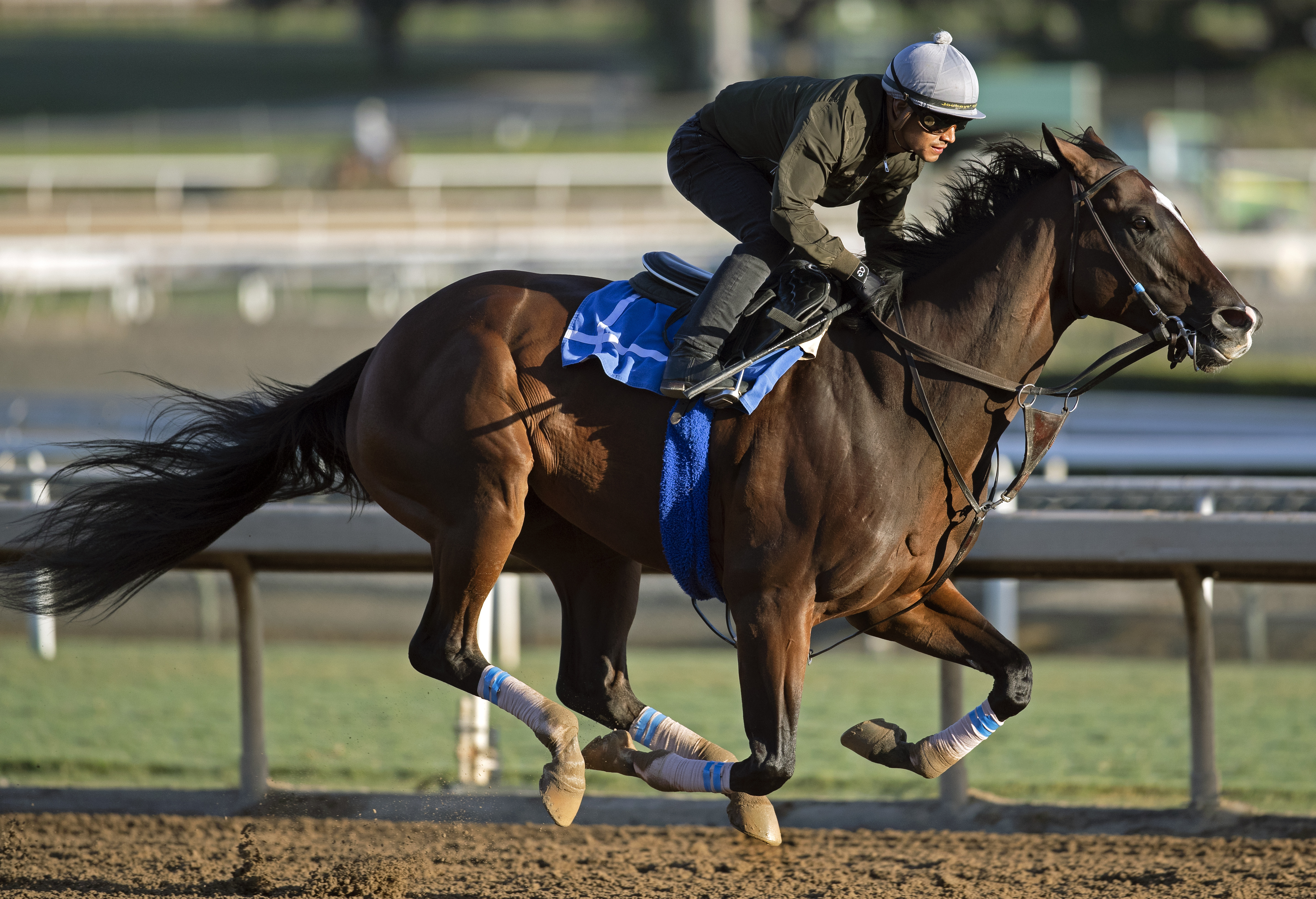 Paradise Woods works at Santa Anita on 10.20.19