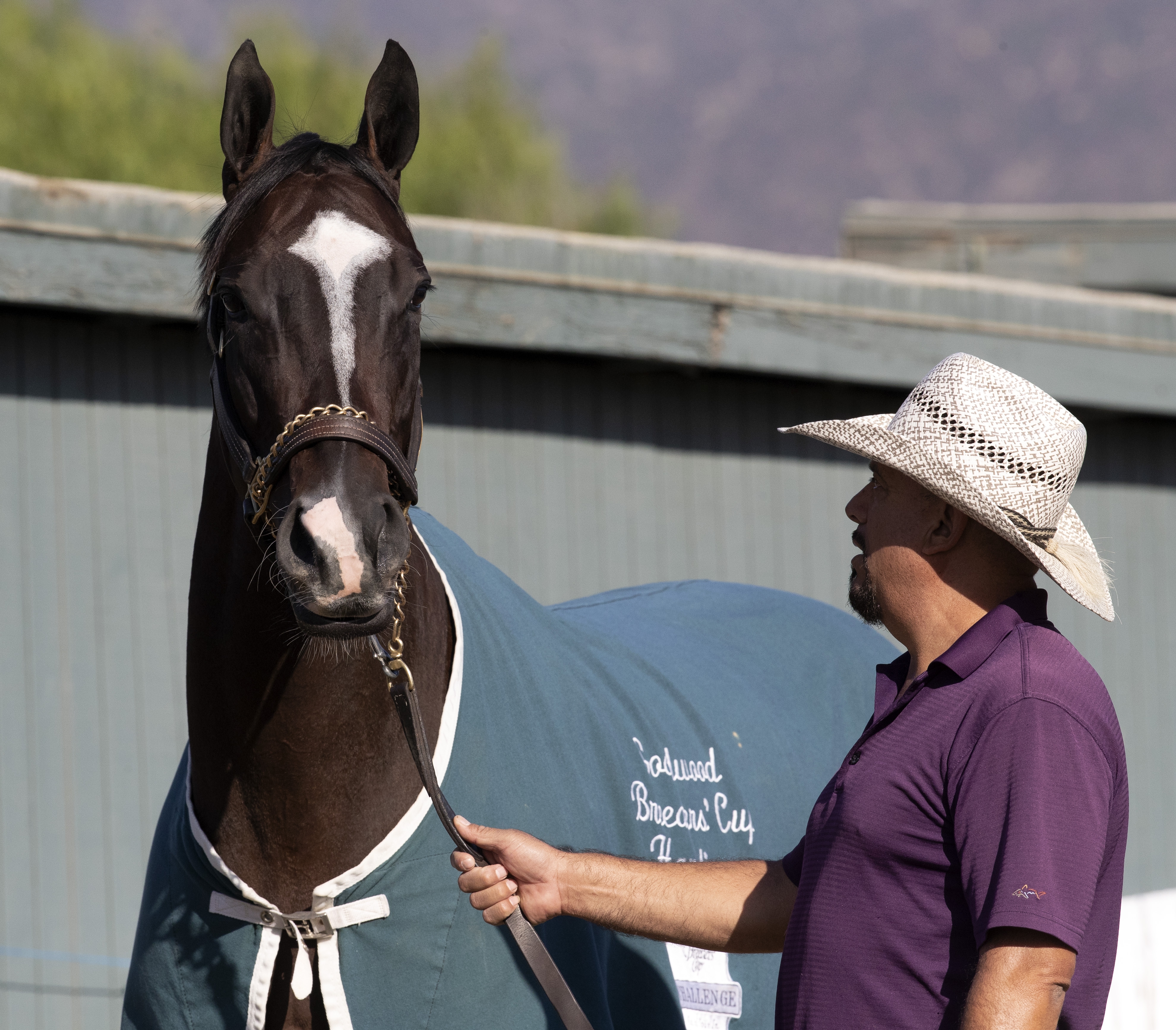 Paradise Woods at Santa Anita on 10.29.19