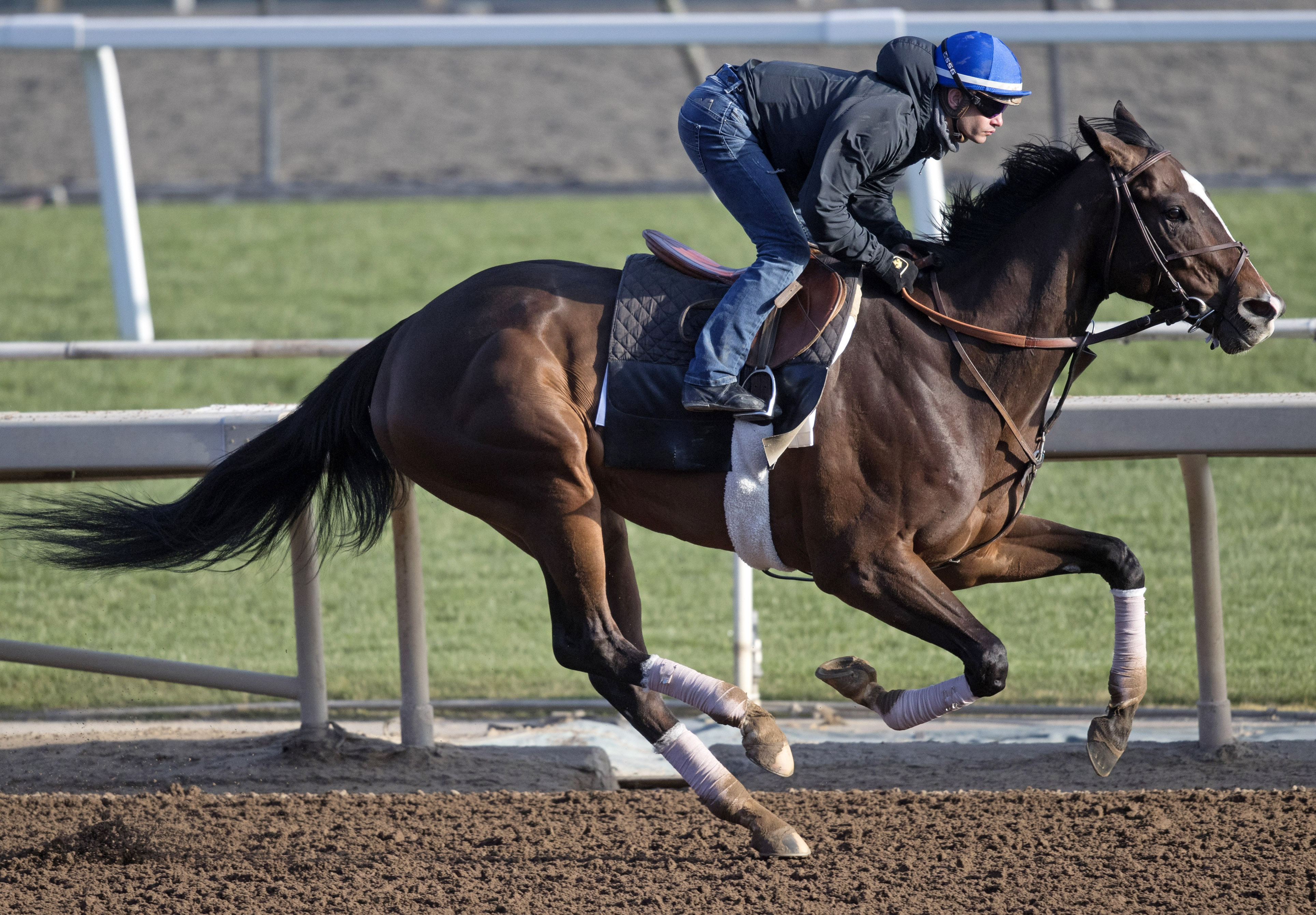 Paradise Woods trains at Santa Anita on March 1