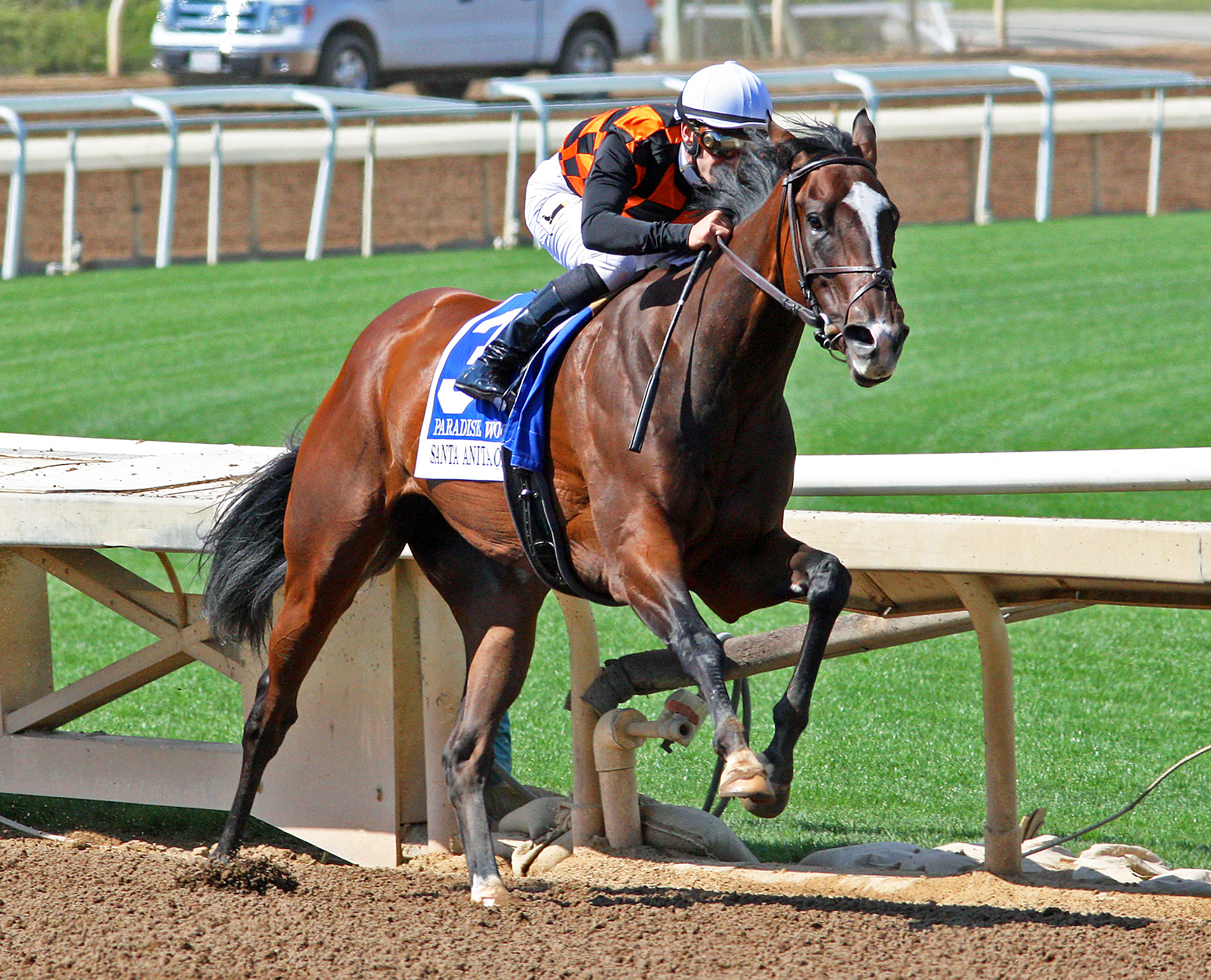 Paradise Woods wins the Santa Anita Oaks