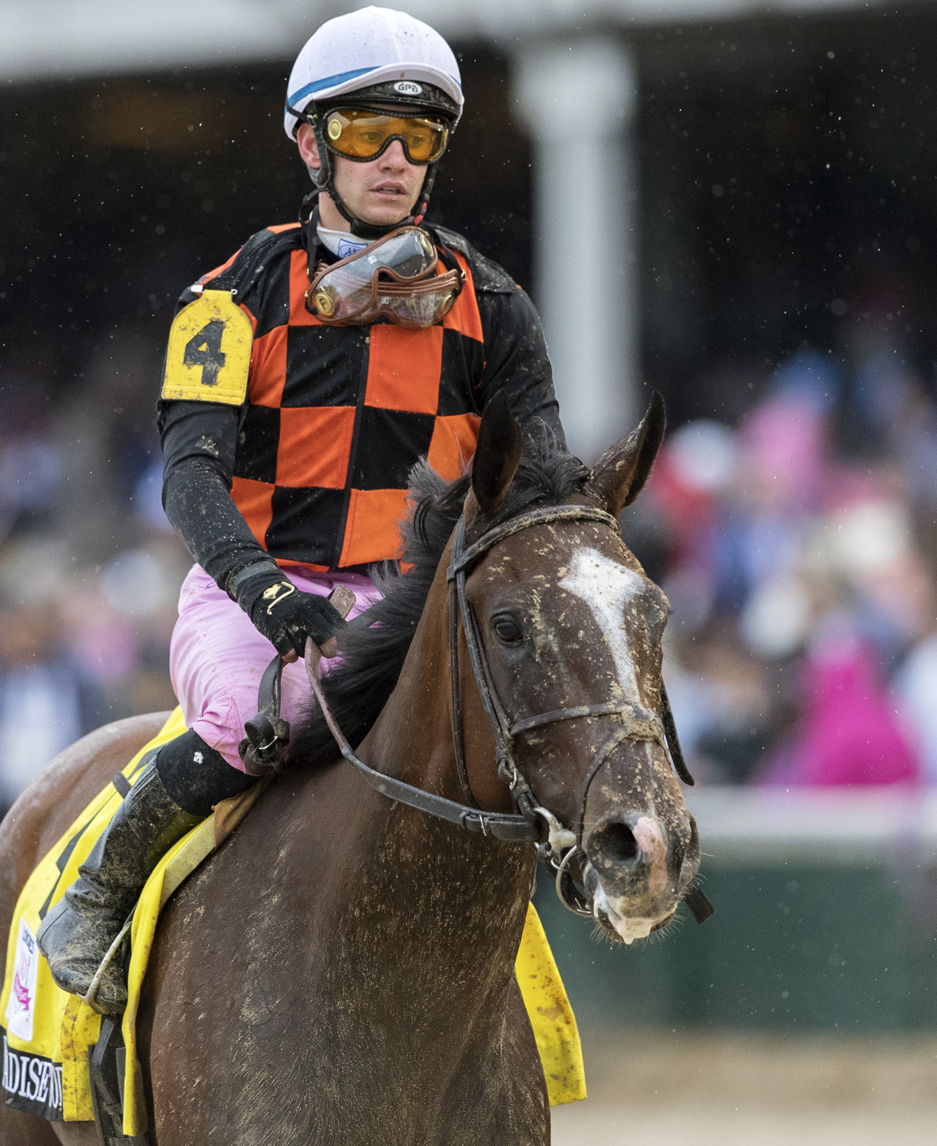 Paradise Woods after the Kentucky Oaks