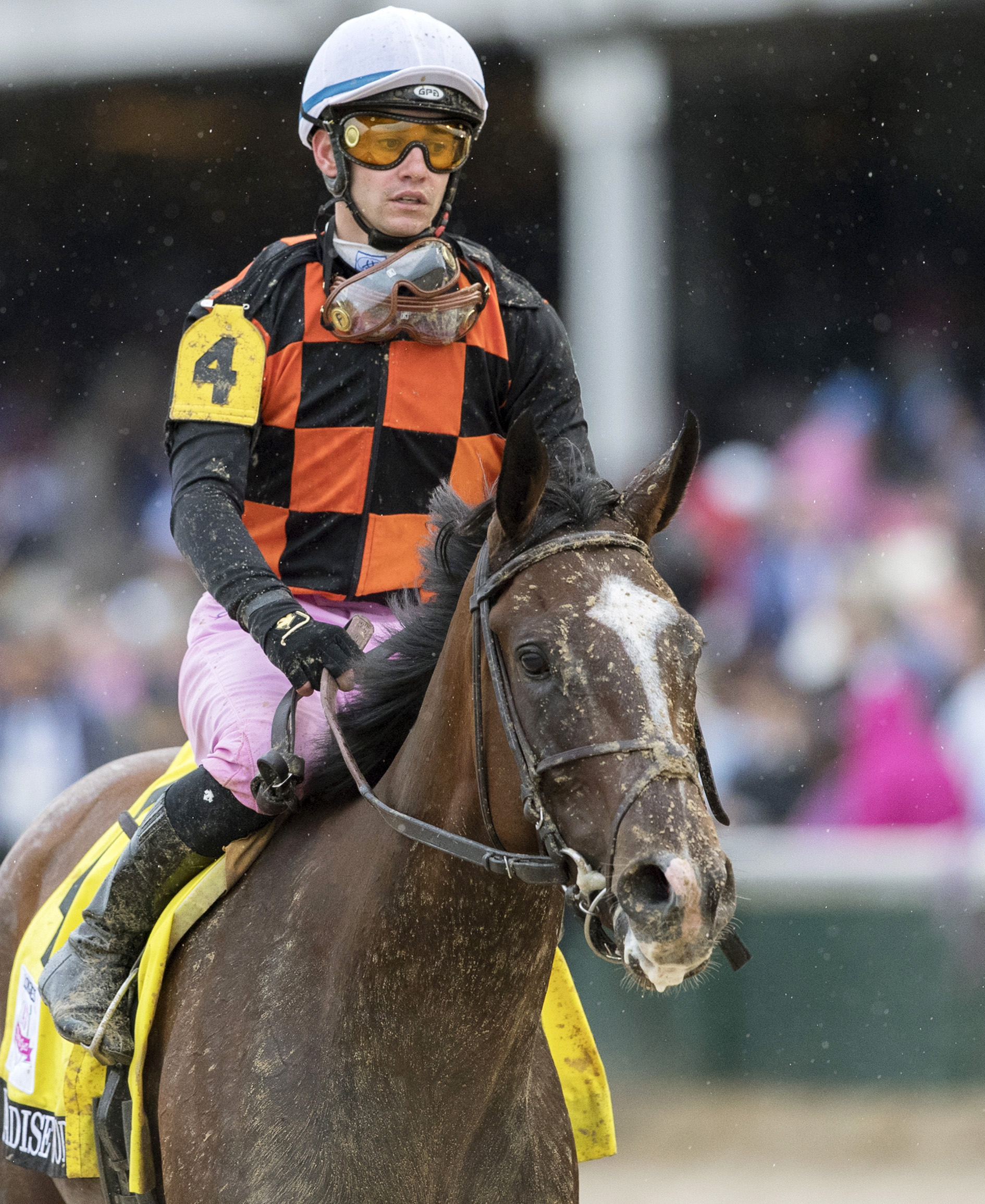 Paradise Woods after finishing 11th in the 2017 Kentucky Oaks