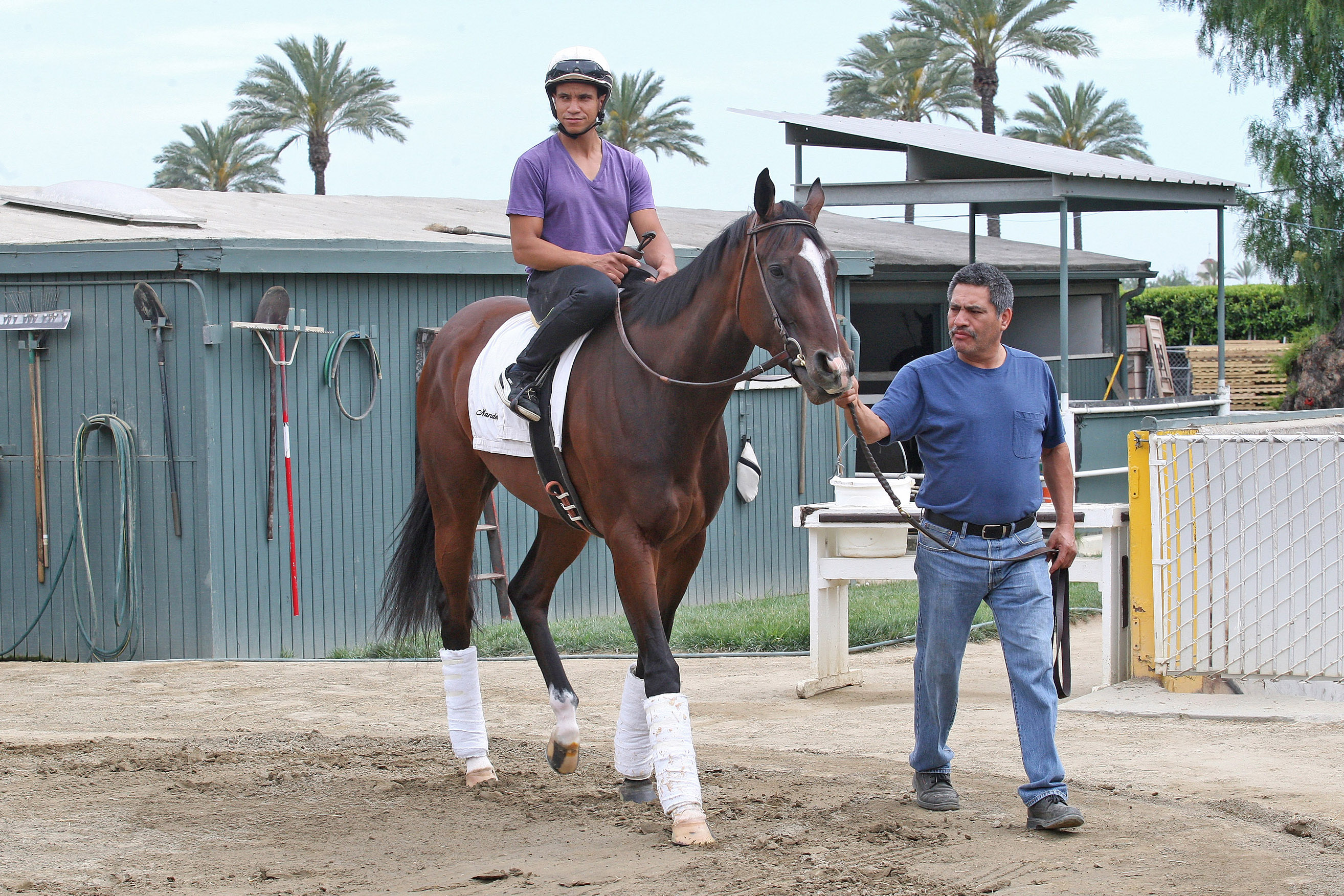 Paradise Woods at Santa Anita on April 26