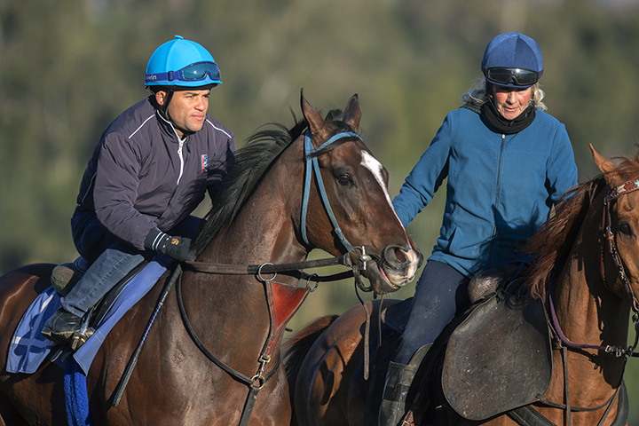 Paradise Woods at Santa Anita on Feb. 8