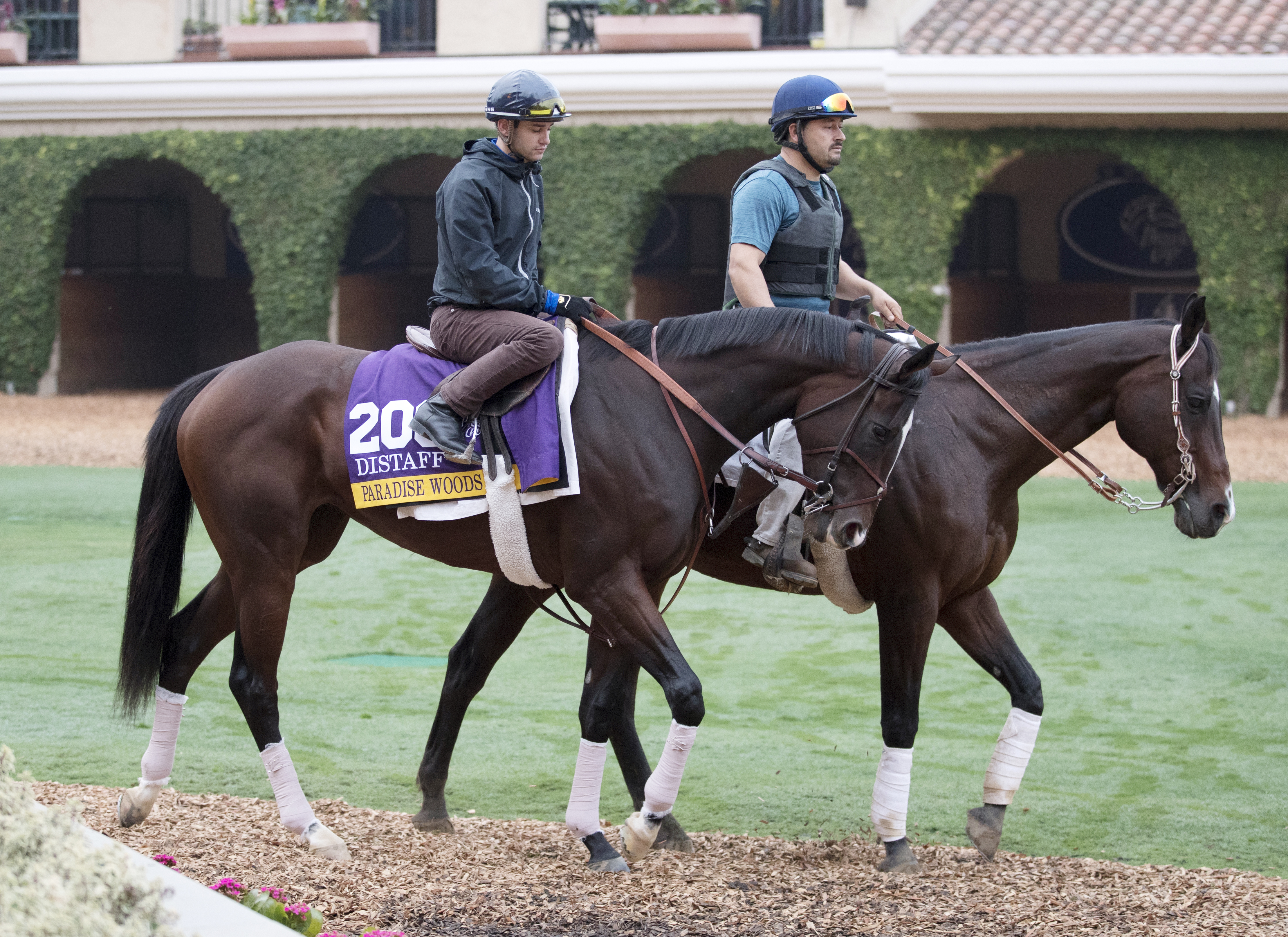 Paradise Woods at Del Mar on Oct. 28