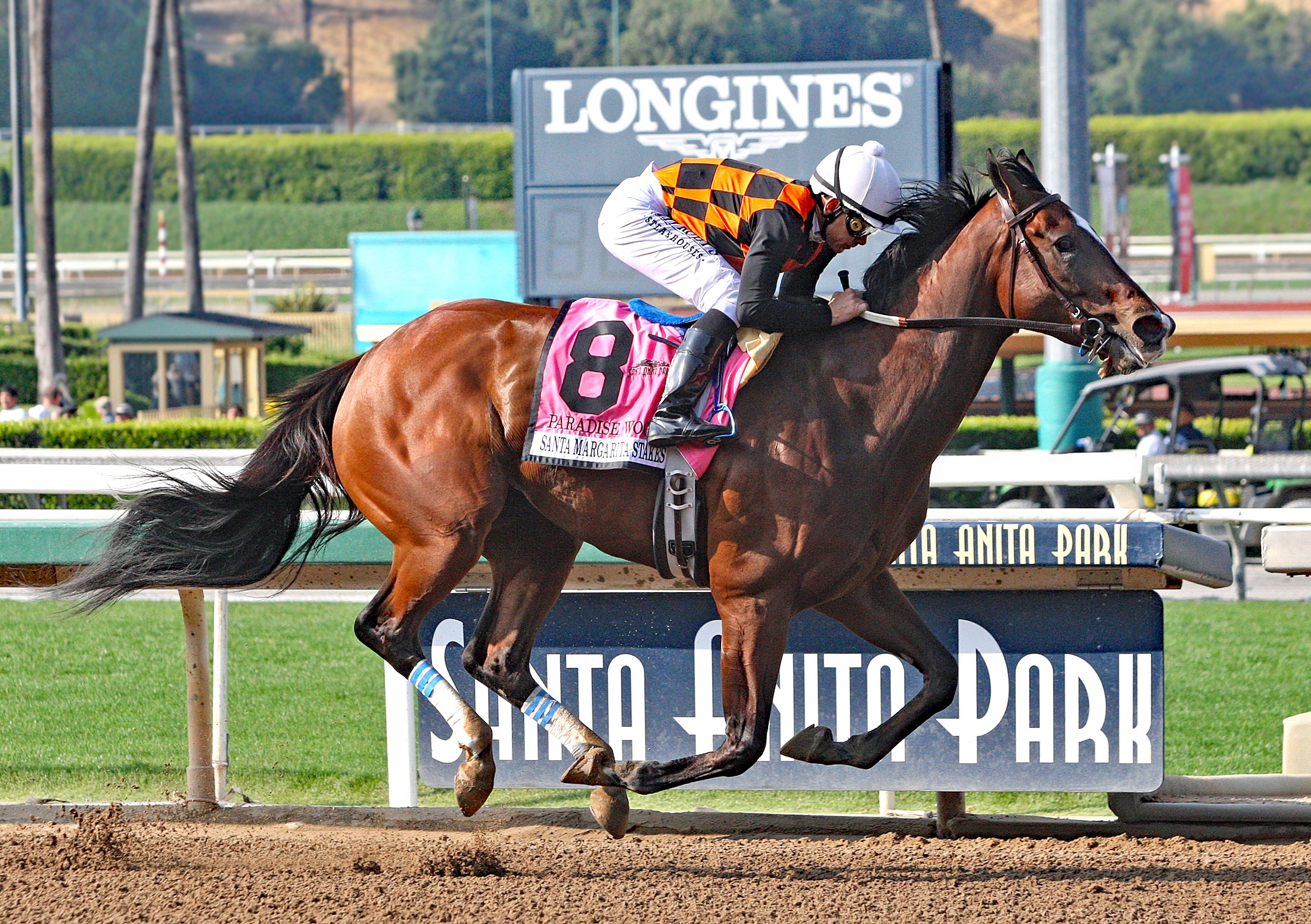 Paradise Woods wins the 2019 Santa Margarita Stakes