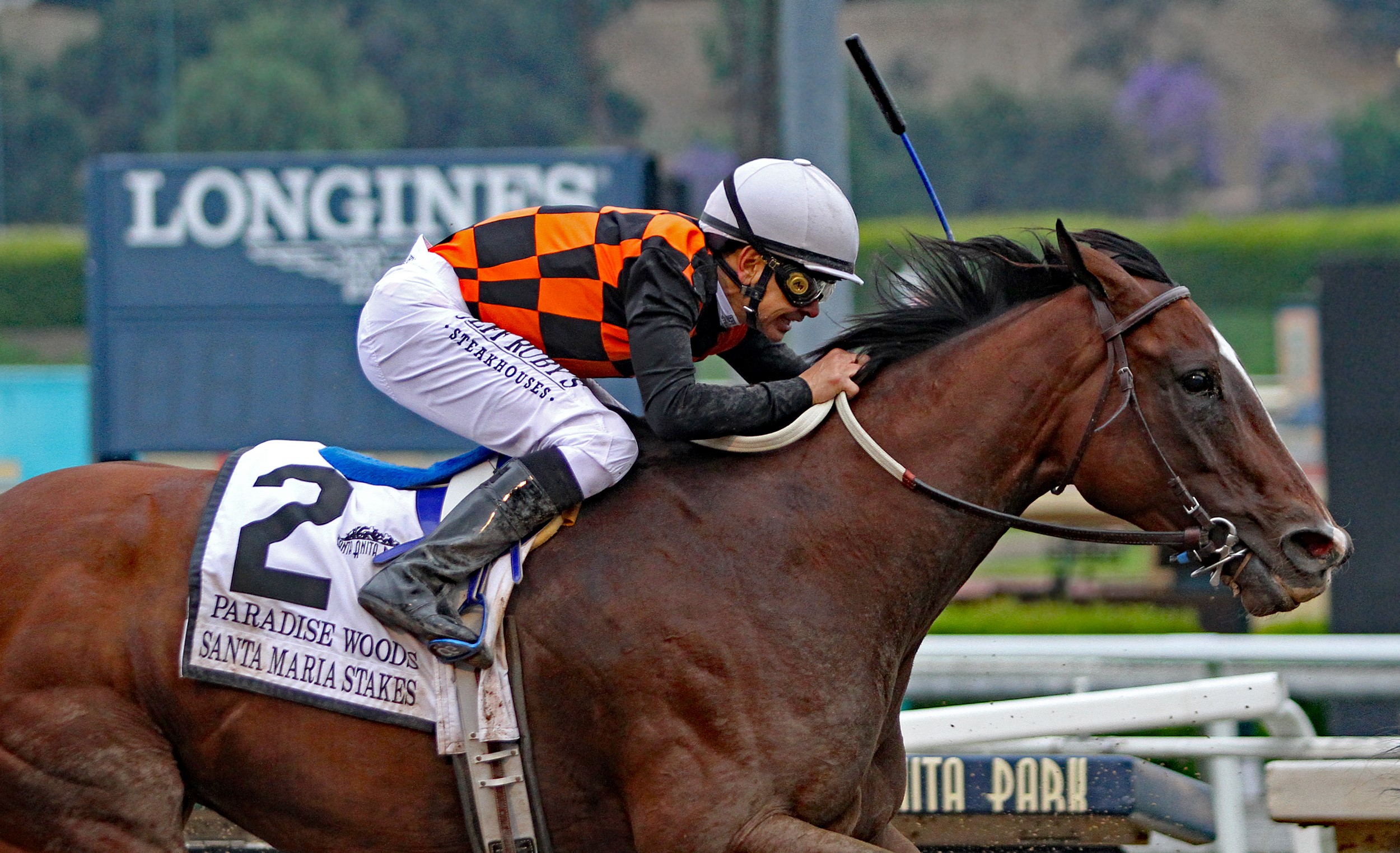 Paradise Woods finishes second in the 2019 Santa Maria Stakes