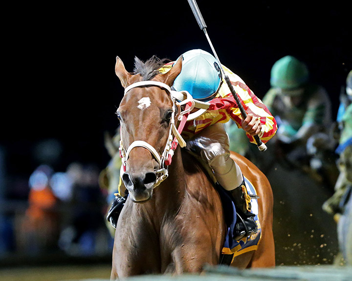 Parisian Diva wins the 2019 West Virginia Tourism Office Breeders Classic at Charles Town