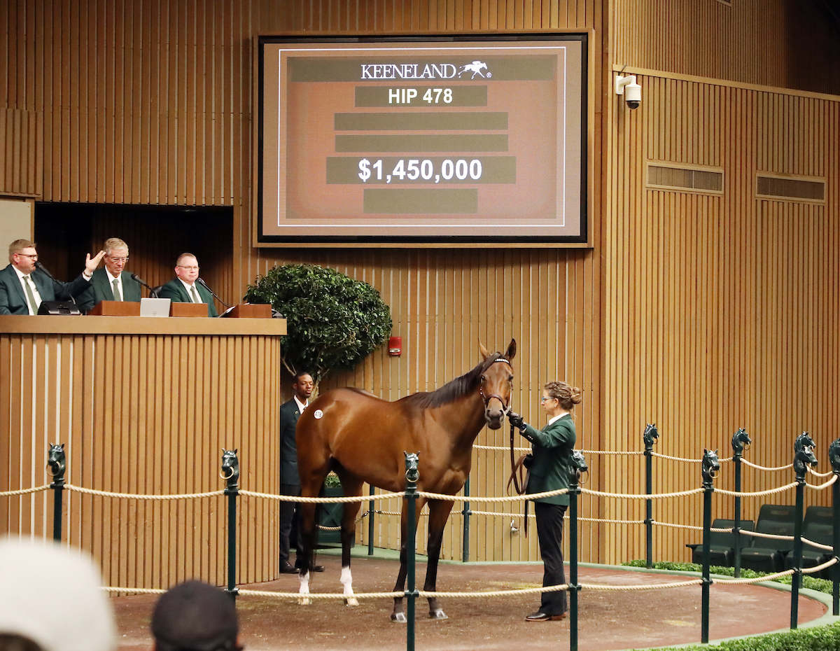 Park Avenue - Keeneland Sales