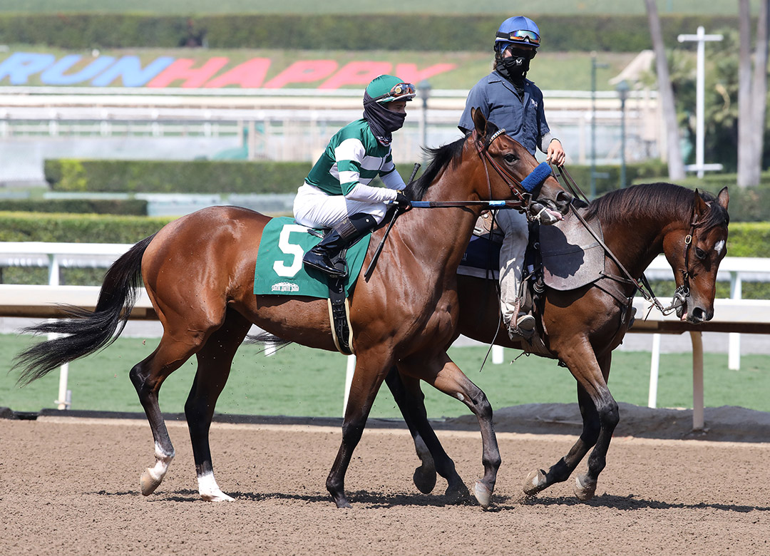 Park Avenue at Santa Anita Park in September 2020