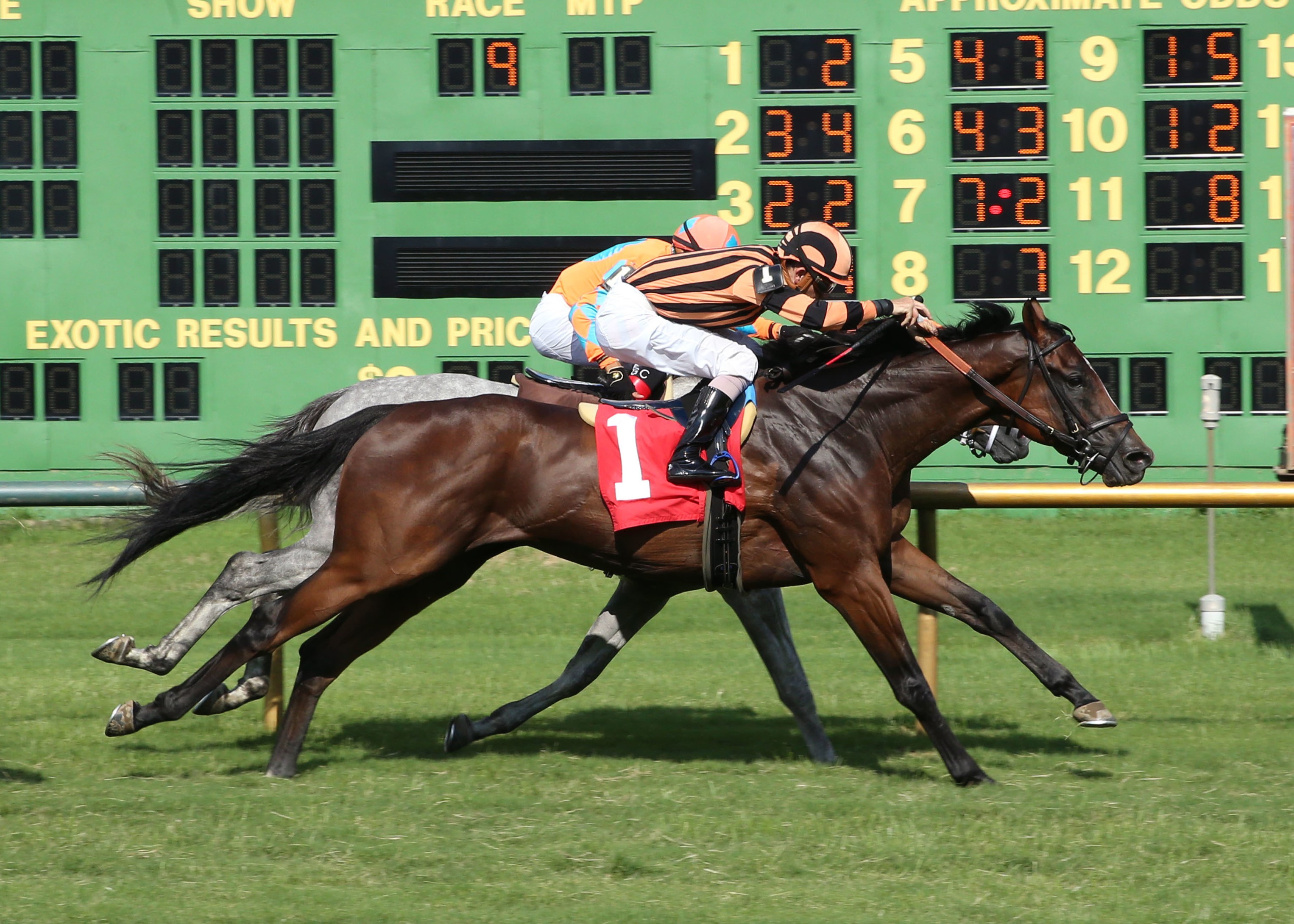 Parkland wins at Ellis Park July 25 2020
