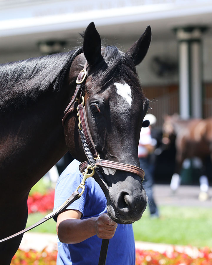 Parlor schools at Churchill Downs on June 14