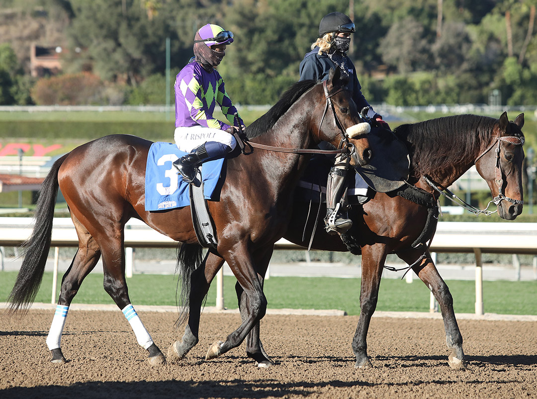 Parnelli at Santa Anita Park for the Robert B. Lewis Stakes