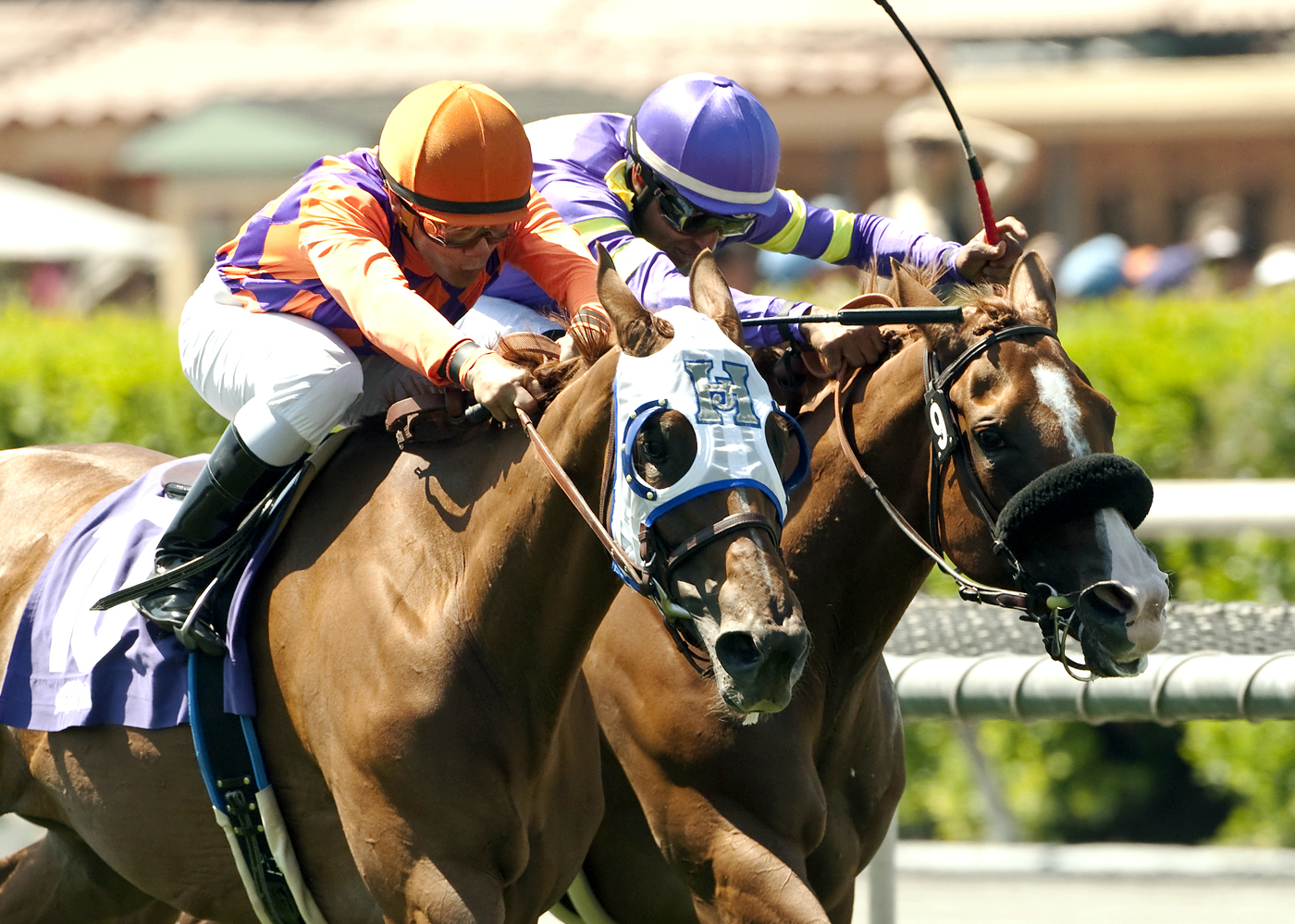 Kathleen Rose finishes second in the Royal Heroine