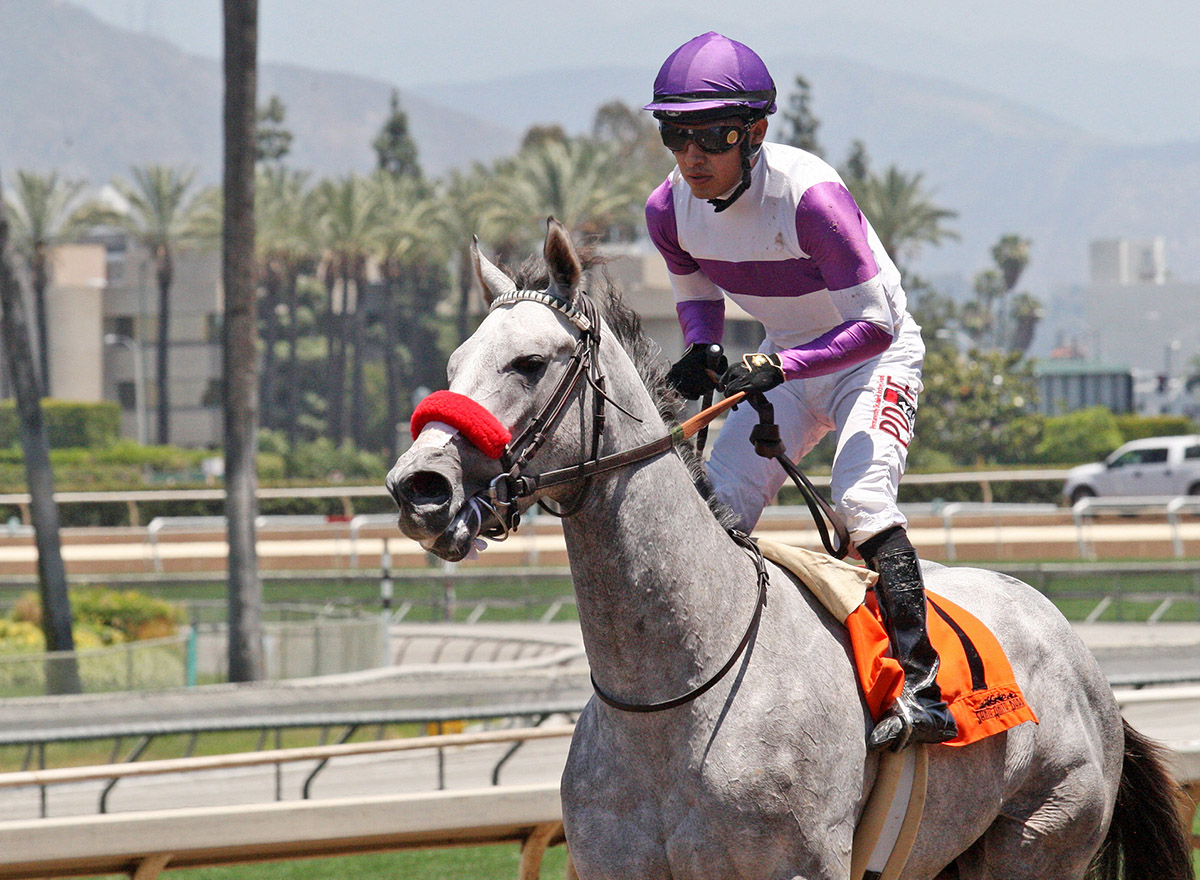 Parismony at Santa Anita on June 9