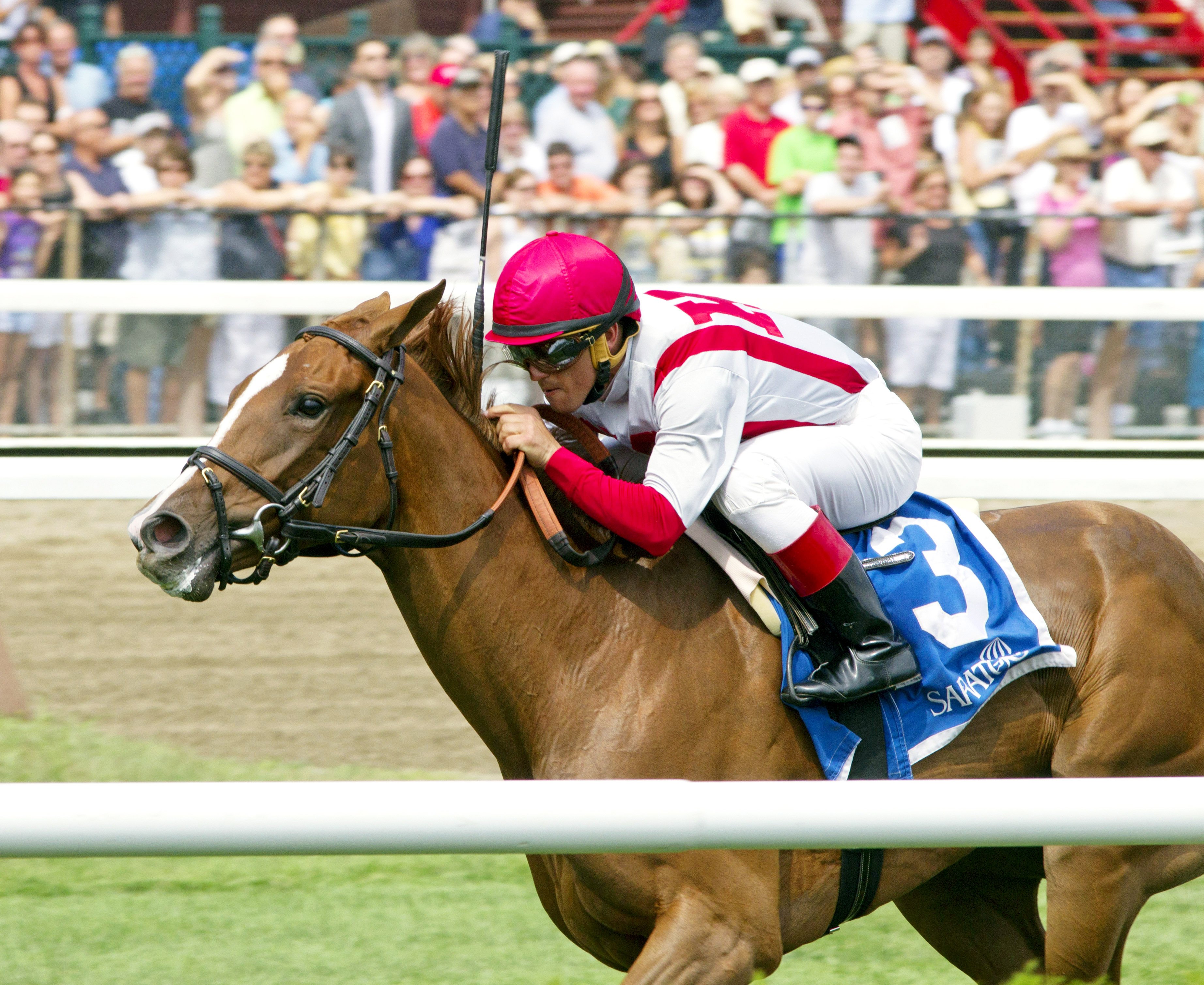 Partisan Politics wins the P.G. Johnson