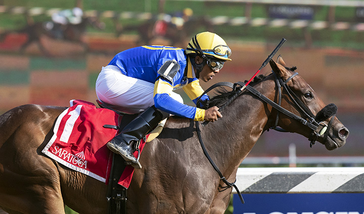 Party Like Grandma wins the 2018 Seeking the Ante