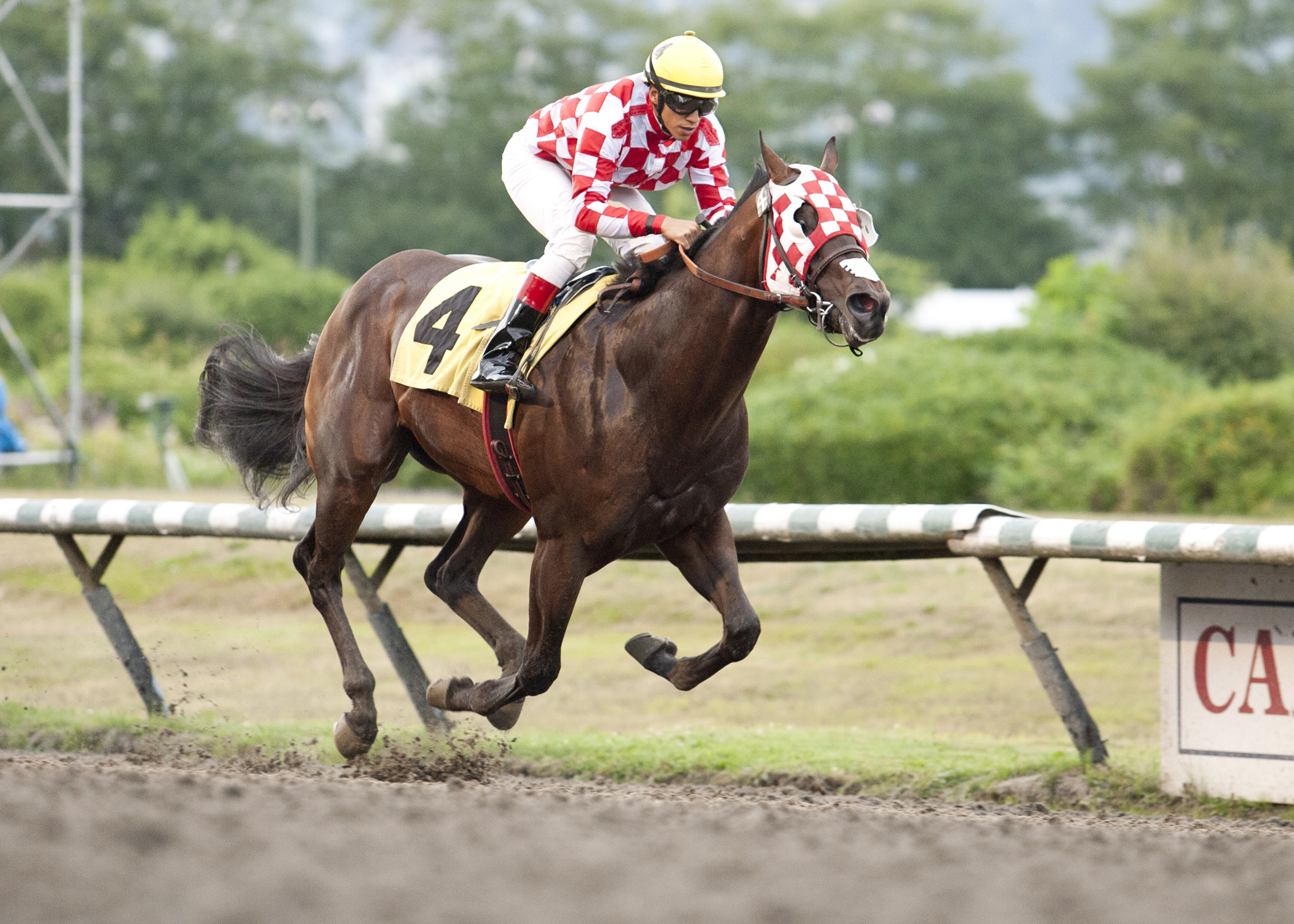 Party Pooper wins the 2014 New Westminster Stakes