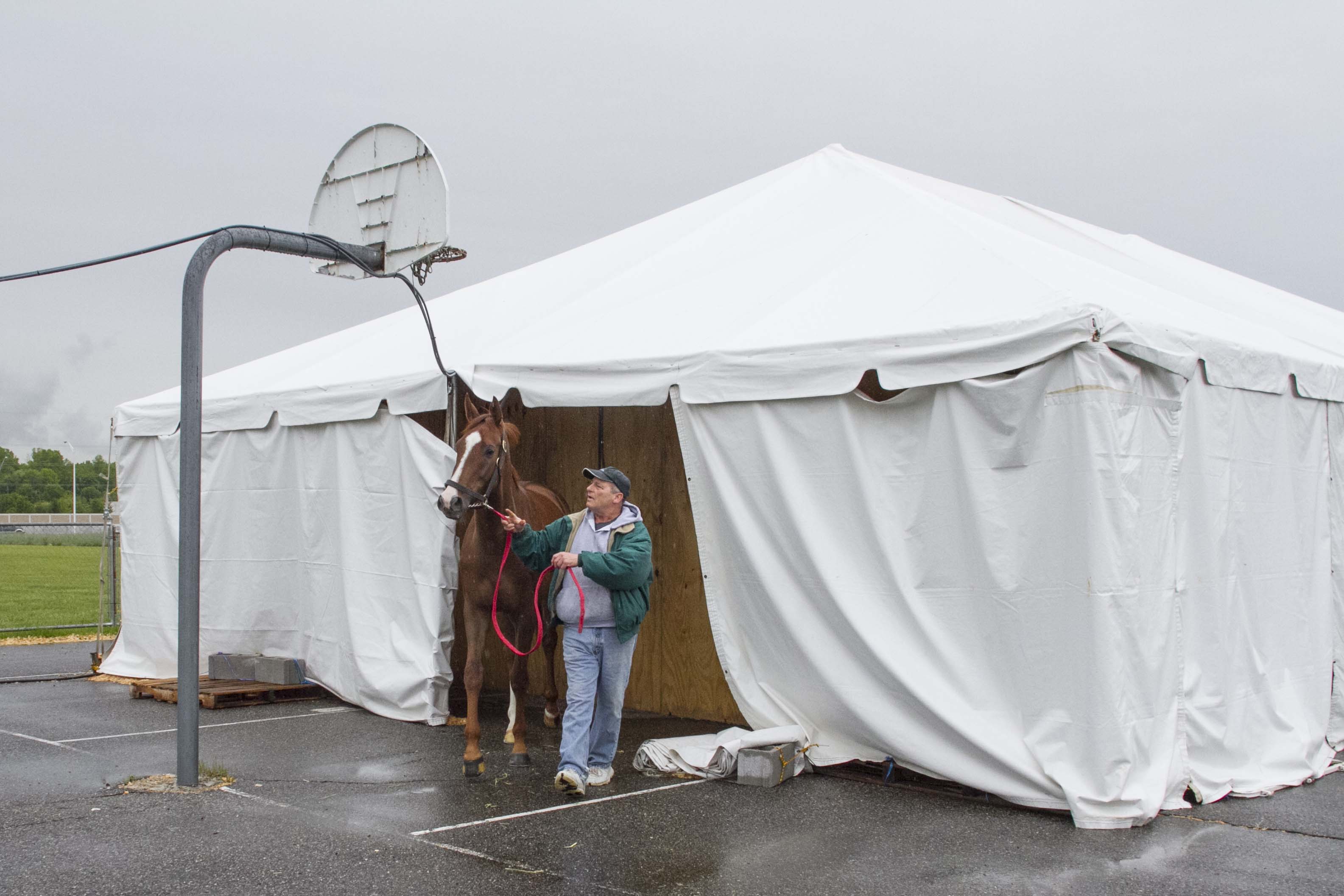 Parx equine herpes quarantine lifted