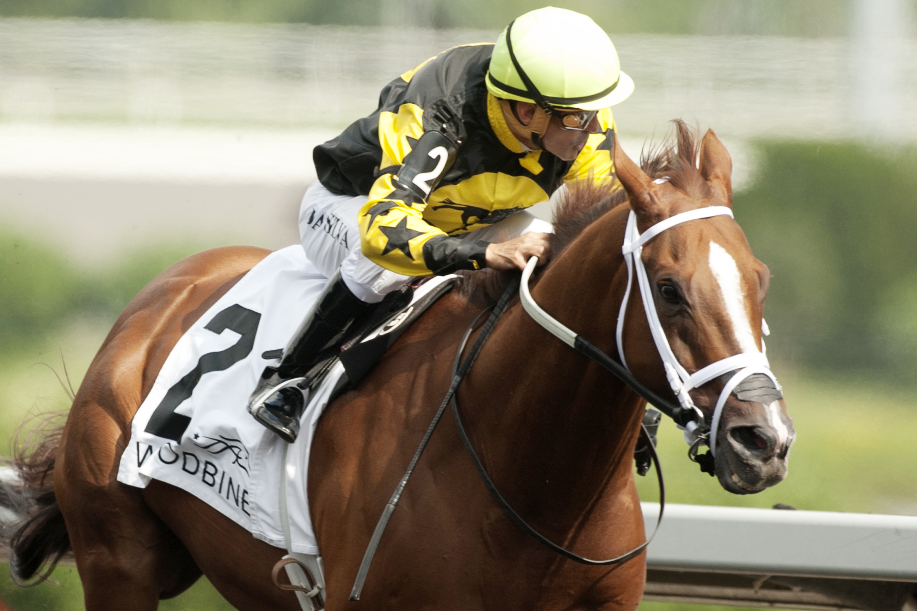 Paso Doble wins the Shepperton Stakes